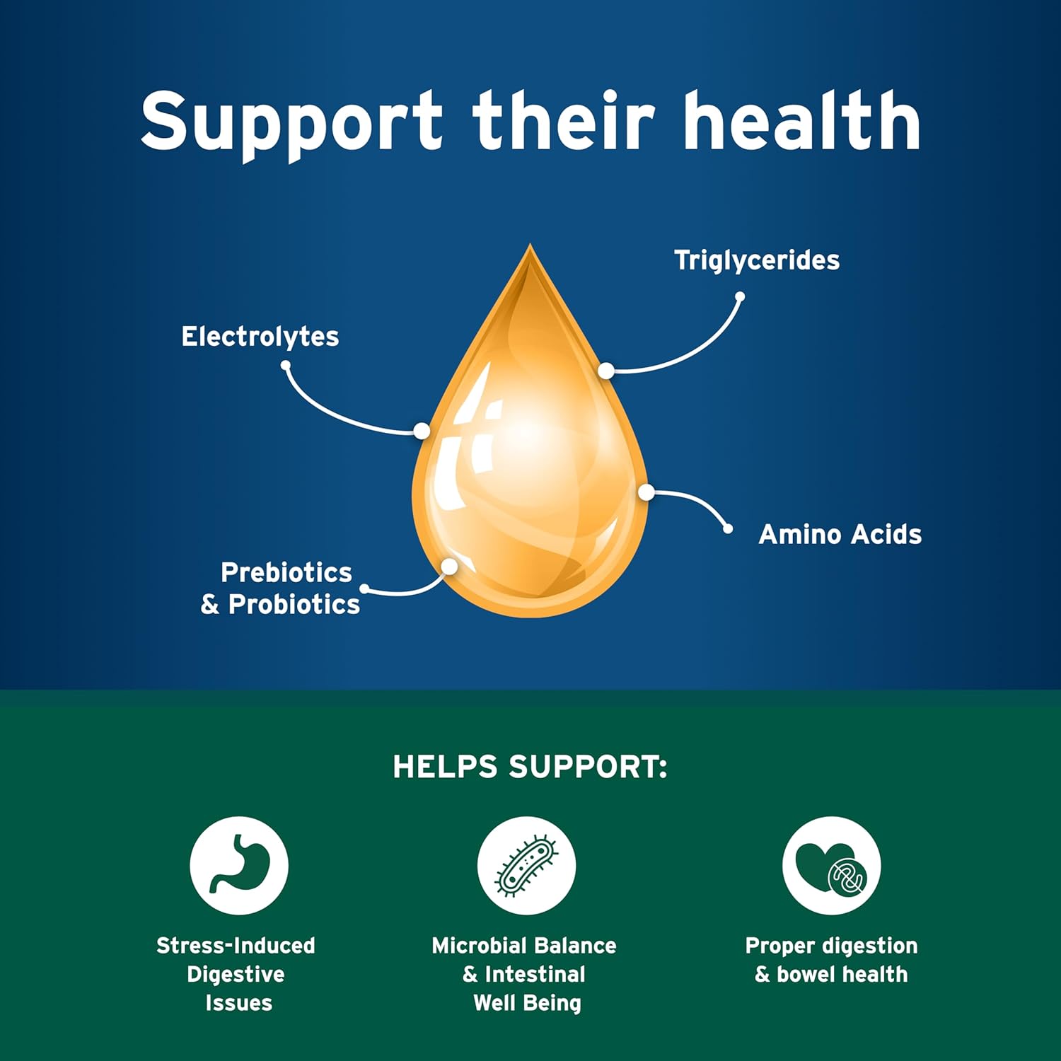 Pet Protect Dog Probiotic Balance+ oral gel with vet-formulated Endurosyn and prebiotics for digestive health and oral care.