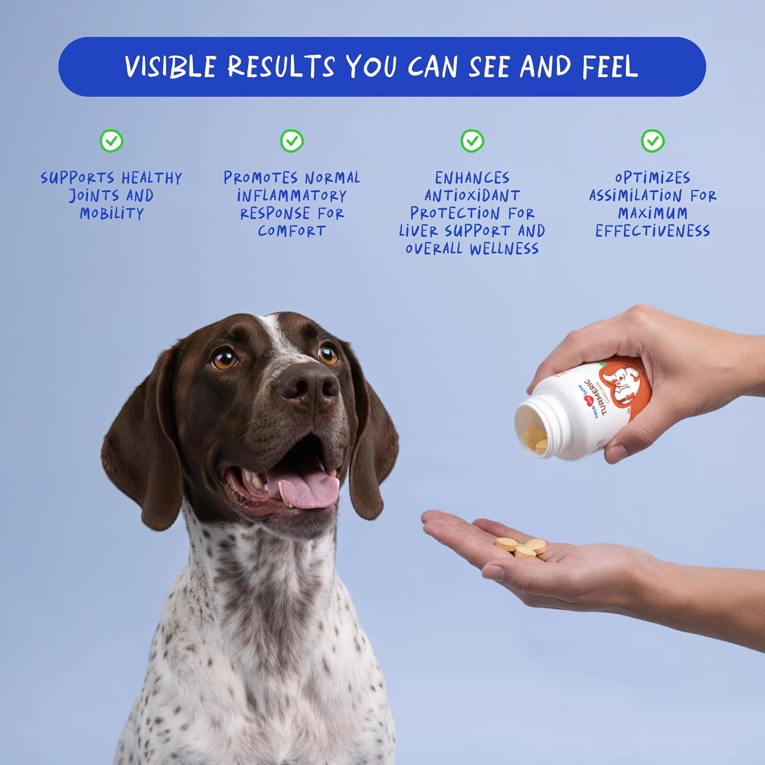 Coco and Luna turmeric for dogs, anti-inflammatory chewable tablets, showing a bottle with 120 tablets and natural ingredients.