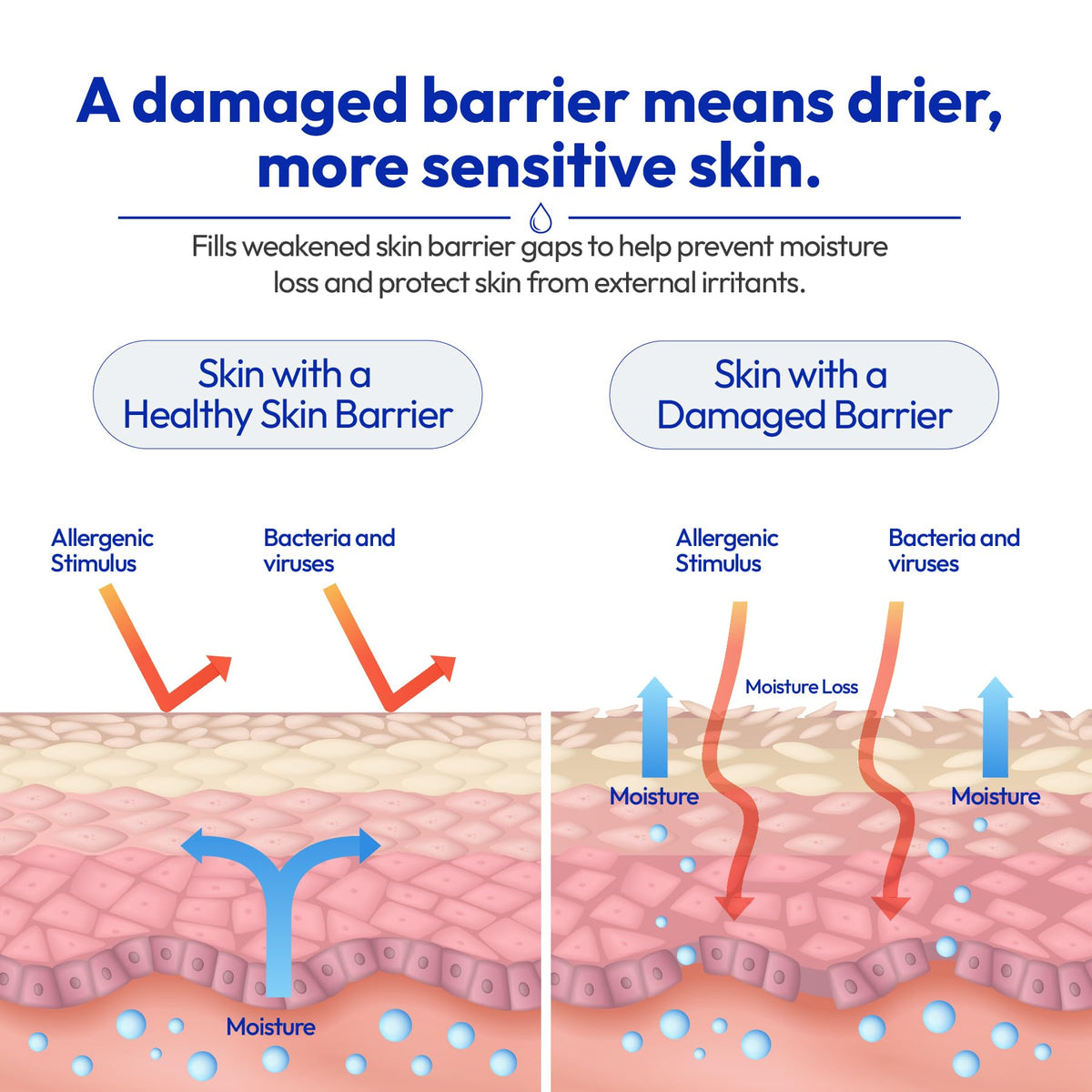Glaze Barrier Cream Ceramide Face Moisturizer for Dry - ARIYOUNG Official Imagery - 7