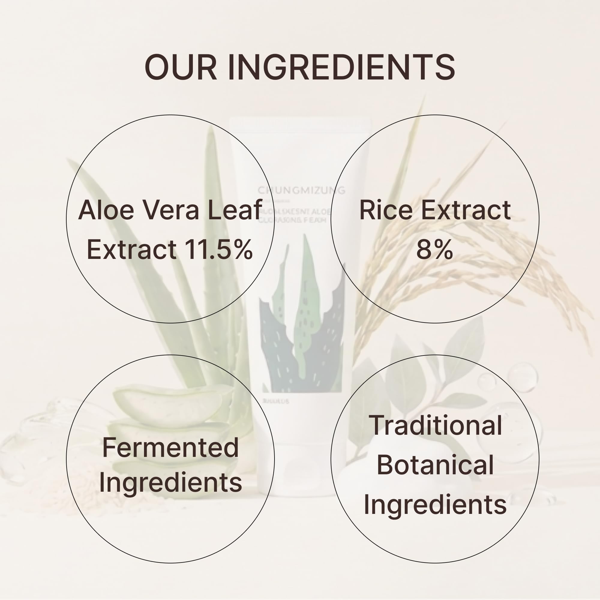 Alkalescent Aloe Cleansing Foam, Deep Cleansing Foam, Blackhead - ChungMiJung