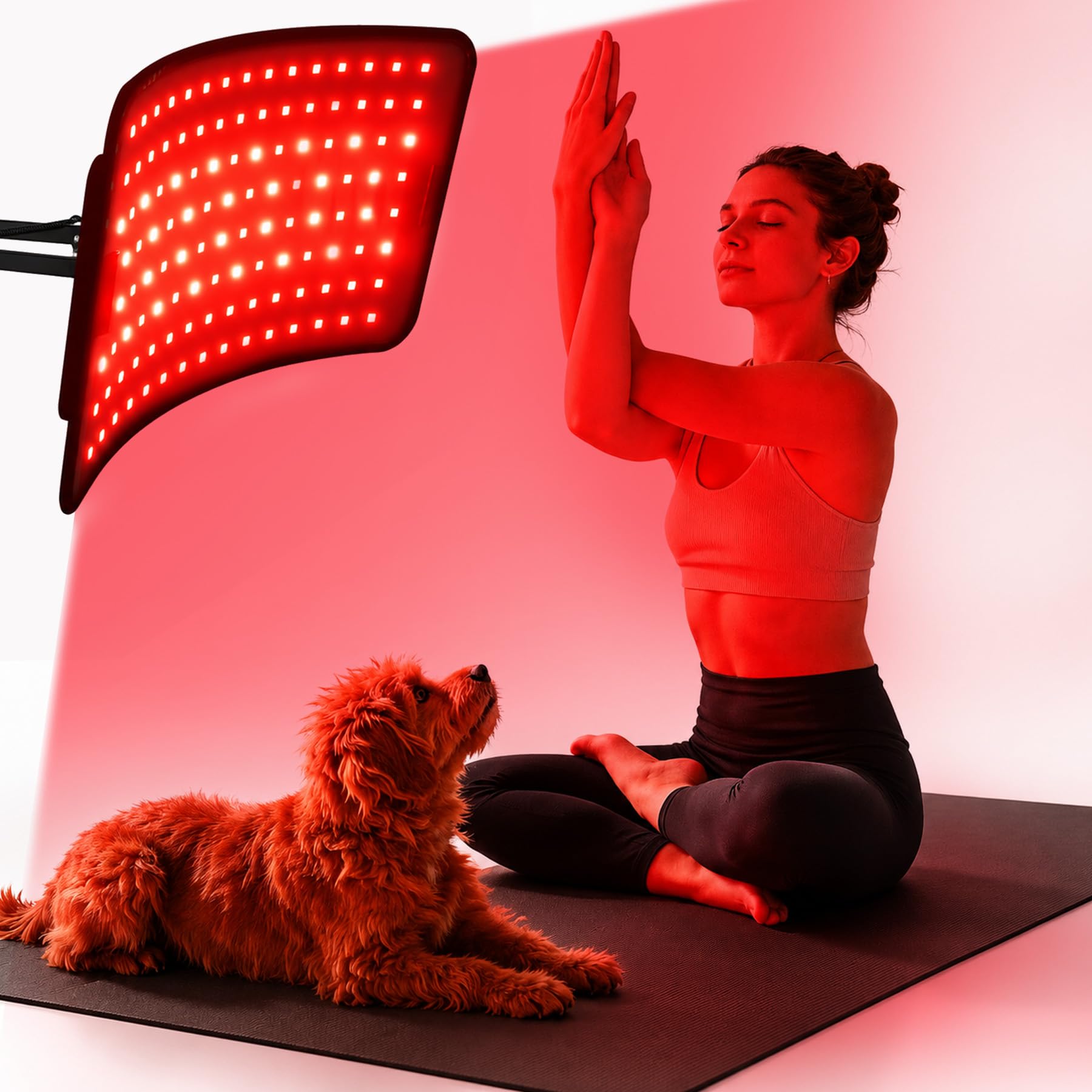 INIA Red Light Therapy Panel & Belt 2-in-1, 1064nm + 850nm Dual - Product Imagery