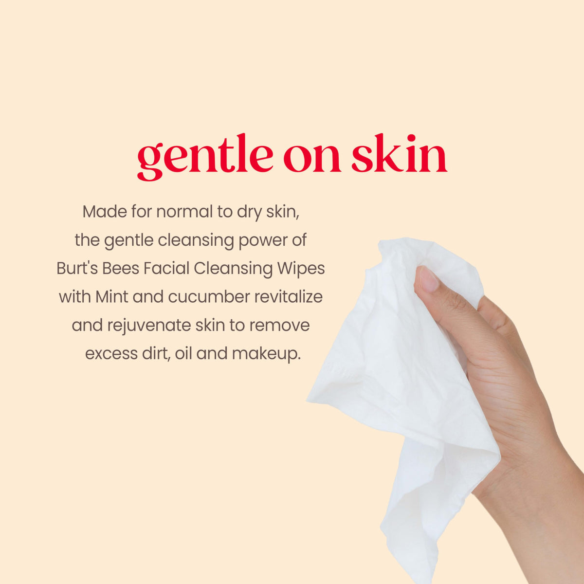 Burt s Bees Cucumber and Mint Face Wipes Refreshing Makeup - Burt's Bees Official Imagery - 3