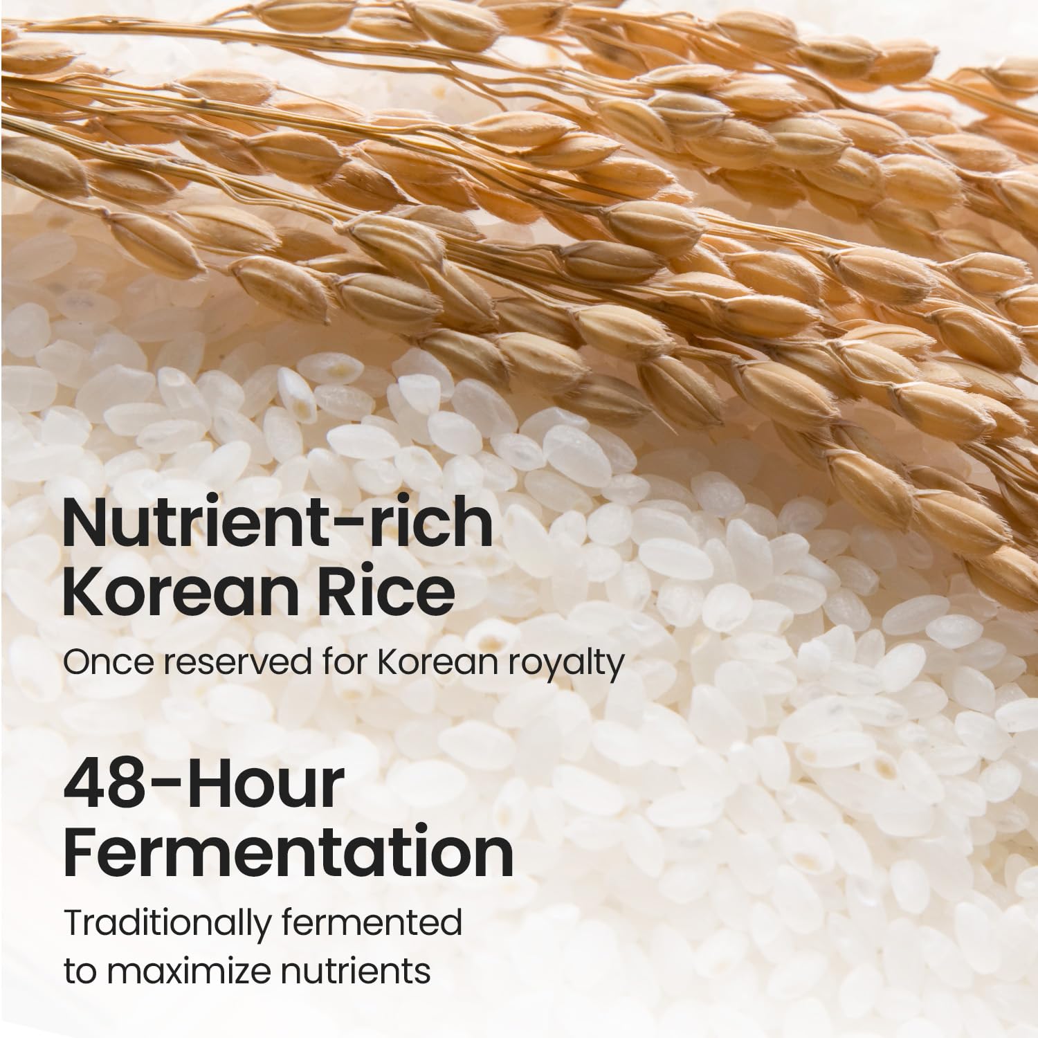SKINFOOD Rice Starter Kit, Rice Toner, Rice Serum, Rice Moisturizer, and Rice Face Wash for Glass Skin, Korean Skin Care Set, Travel Size Kit, Stocking Stuffers, Gift Set for Women, Skincare Gift Set - SKINFOOD 1957 Official Product View 7