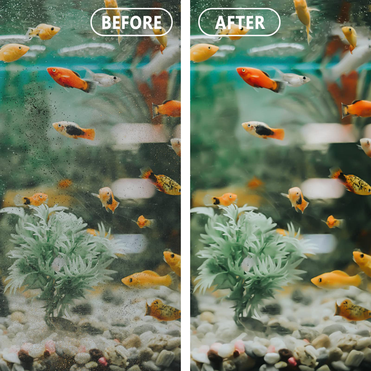 EZ Change 2 Fish Tank Filters Cartridges for Aqua Tech 10 20 - Piwerod Official Imagery - 7