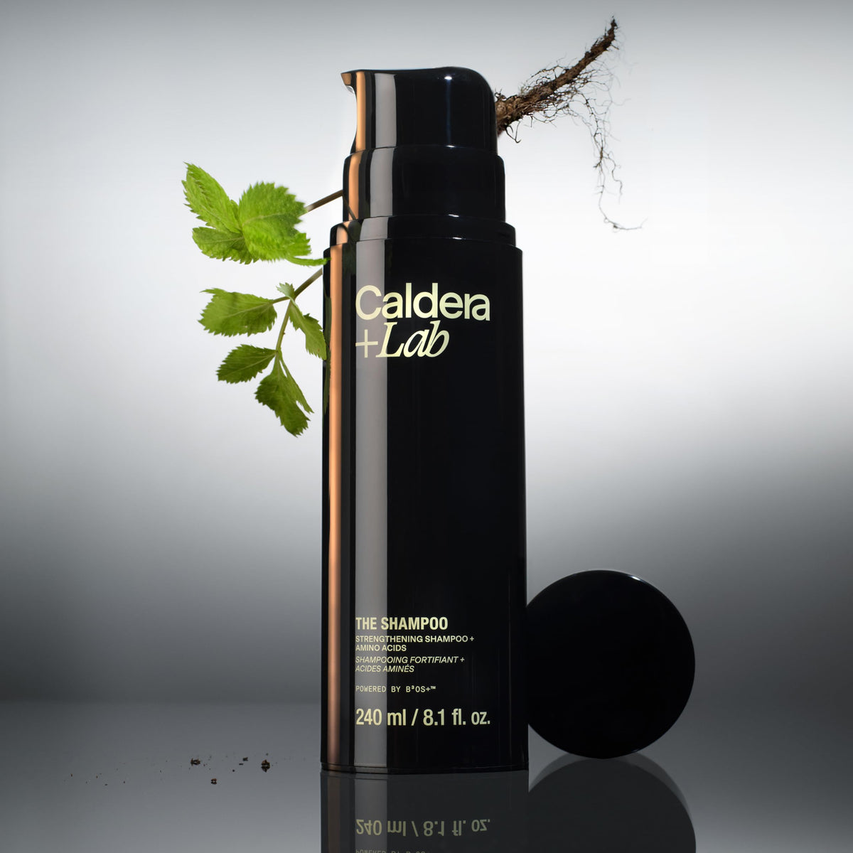 Caldera Lab The Shampoo - Caldera + Lab Official Imagery - 4