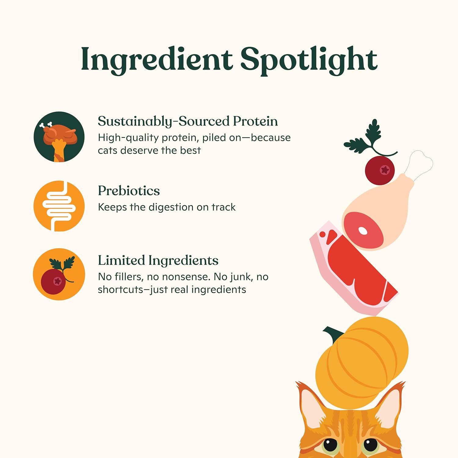Made by Nacho Bone Broth Cat Food Topper for hydration, featuring a bowl of cat food with bone broth visible, designed for picky eaters.