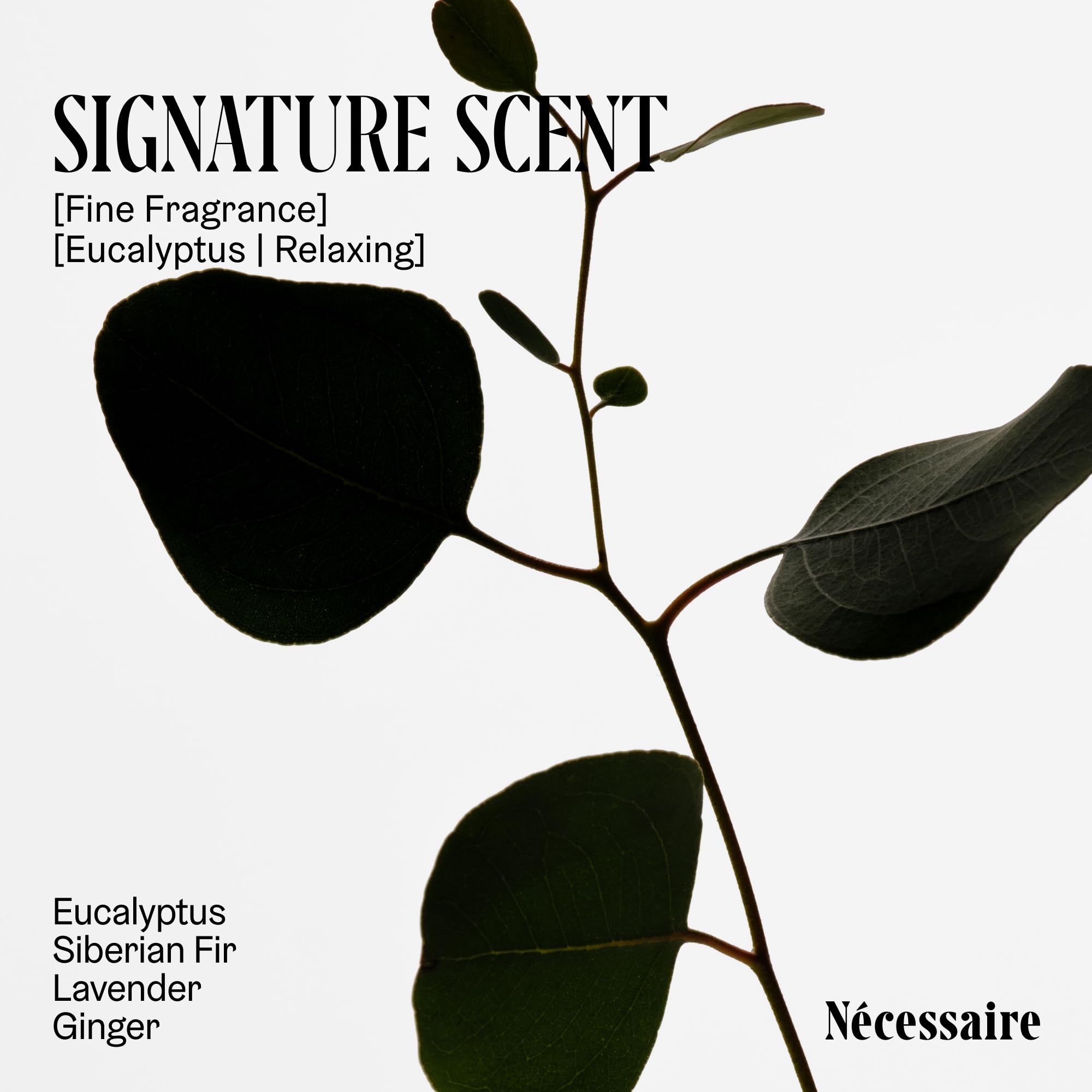 Nécessaire The Body Exfoliator Eucalyptus. Exfoliating Body Scrub. KP Body Exfoliant - Nécessaire Official Product View 4