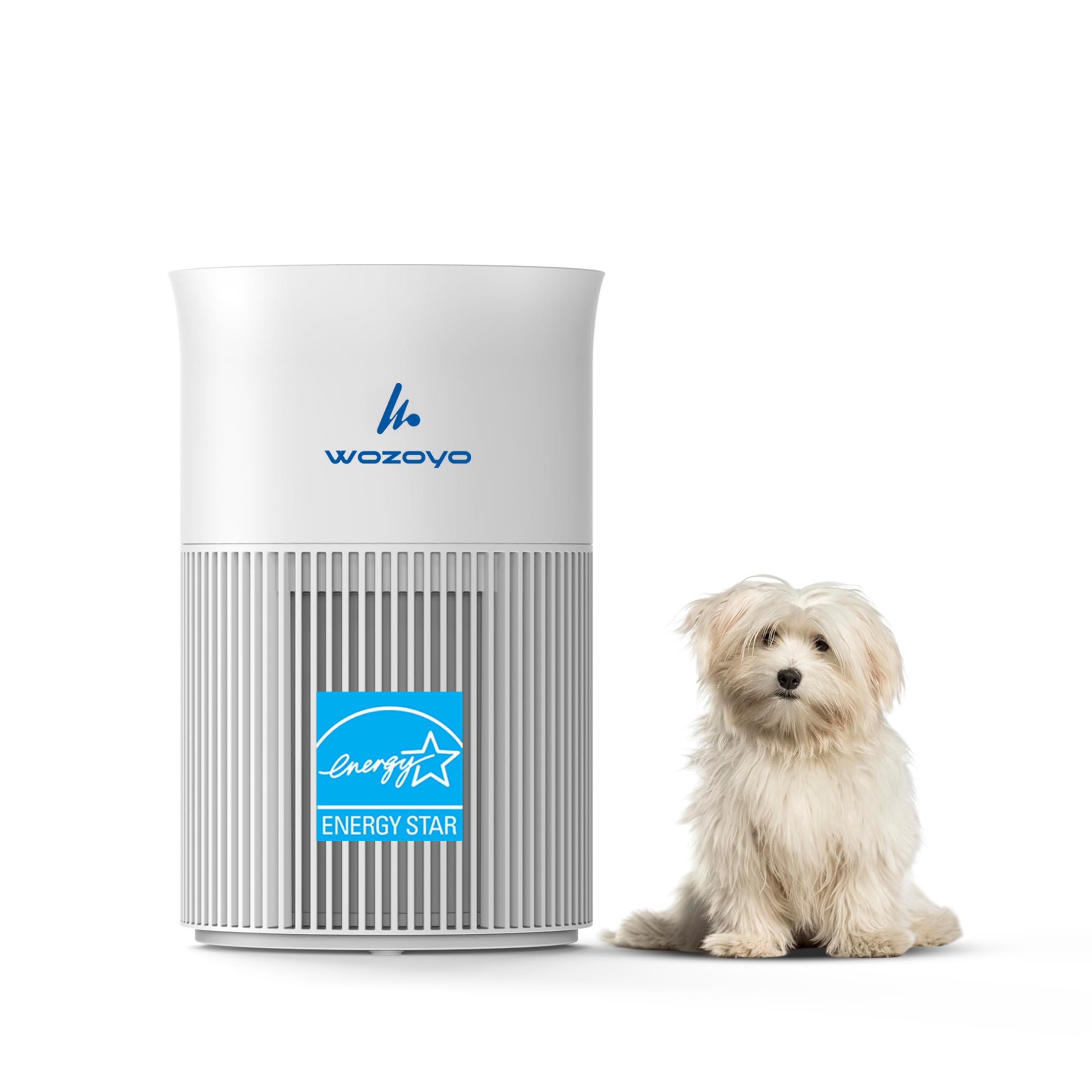 Pure Air PA1 Wozoyo Air Purifier For Bedroom Home, Office, Deskto - Wozoyo Official Product View 1
