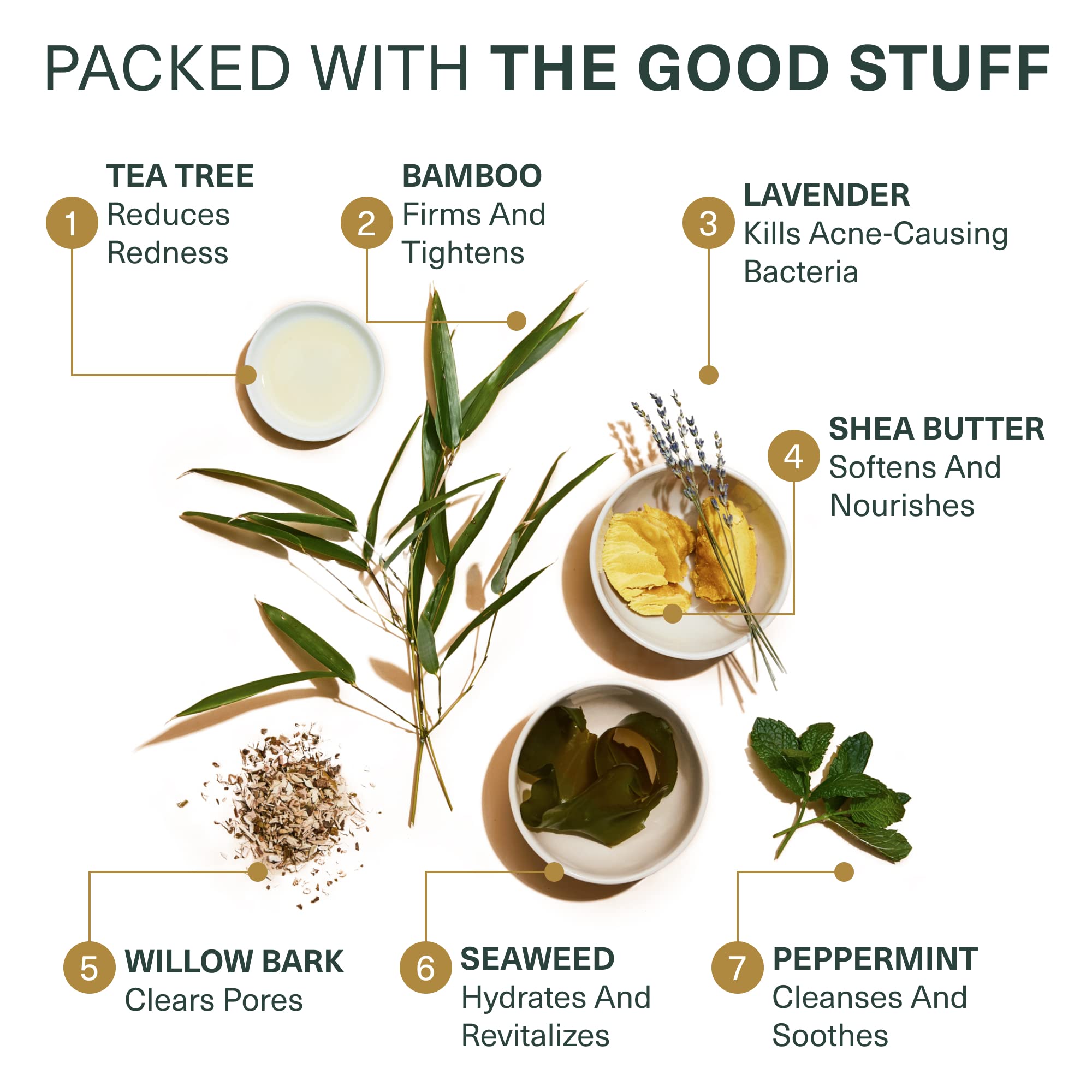 Botanic Tree Glycolic Acid Face Wash - Botanic Tree Official Imagery - 6