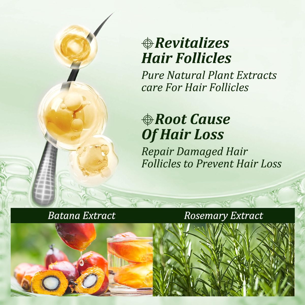 Gypsophila Batana Oil Shampoo,Rosemary Shampoo,Nourishing & Rejuvenating for - Gypsophila Official Product View 5
