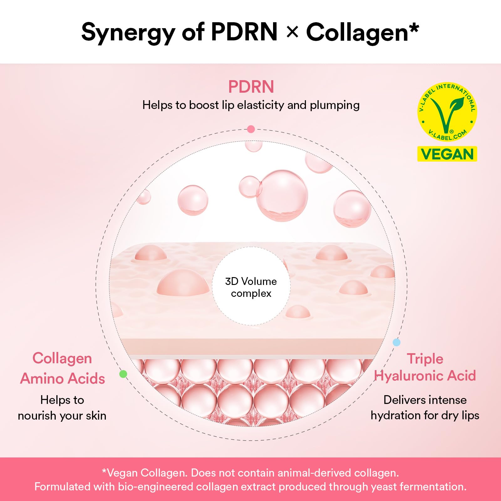Abib PDRN Vegan Collagen Lip Mask Glazed Jelly 0.38 fl oz | Korean Lip Butter Balm Overnight Sleeping Mask Hydrating Care Moisturizer Treatment for Flakey, Dry Lips - Abib Official Product View 5