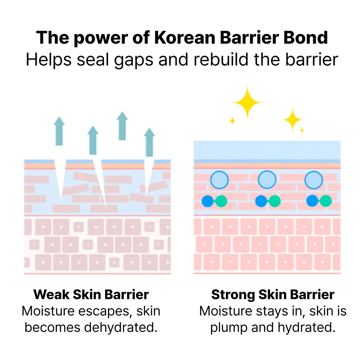 Dr Jart Power Derma Barrier Korean Face Cream - Premium Selection Official Imagery - 7