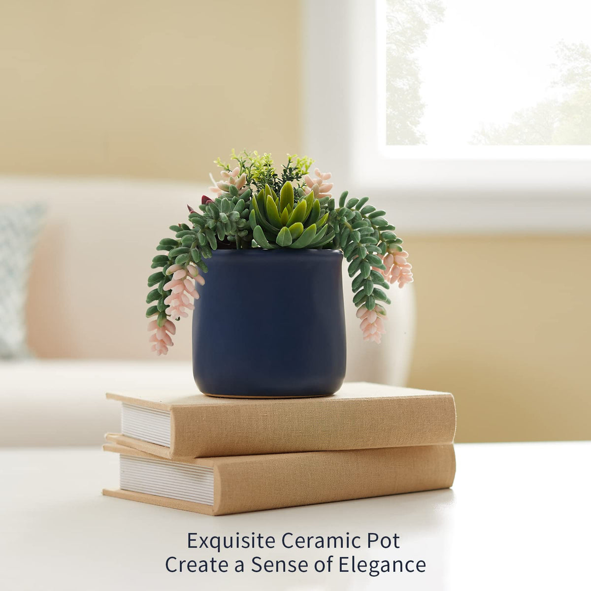 Artificial Succulent in Ceramic Pots 2 Packs Fake Plants - ASTRIDIA Official Imagery - 6