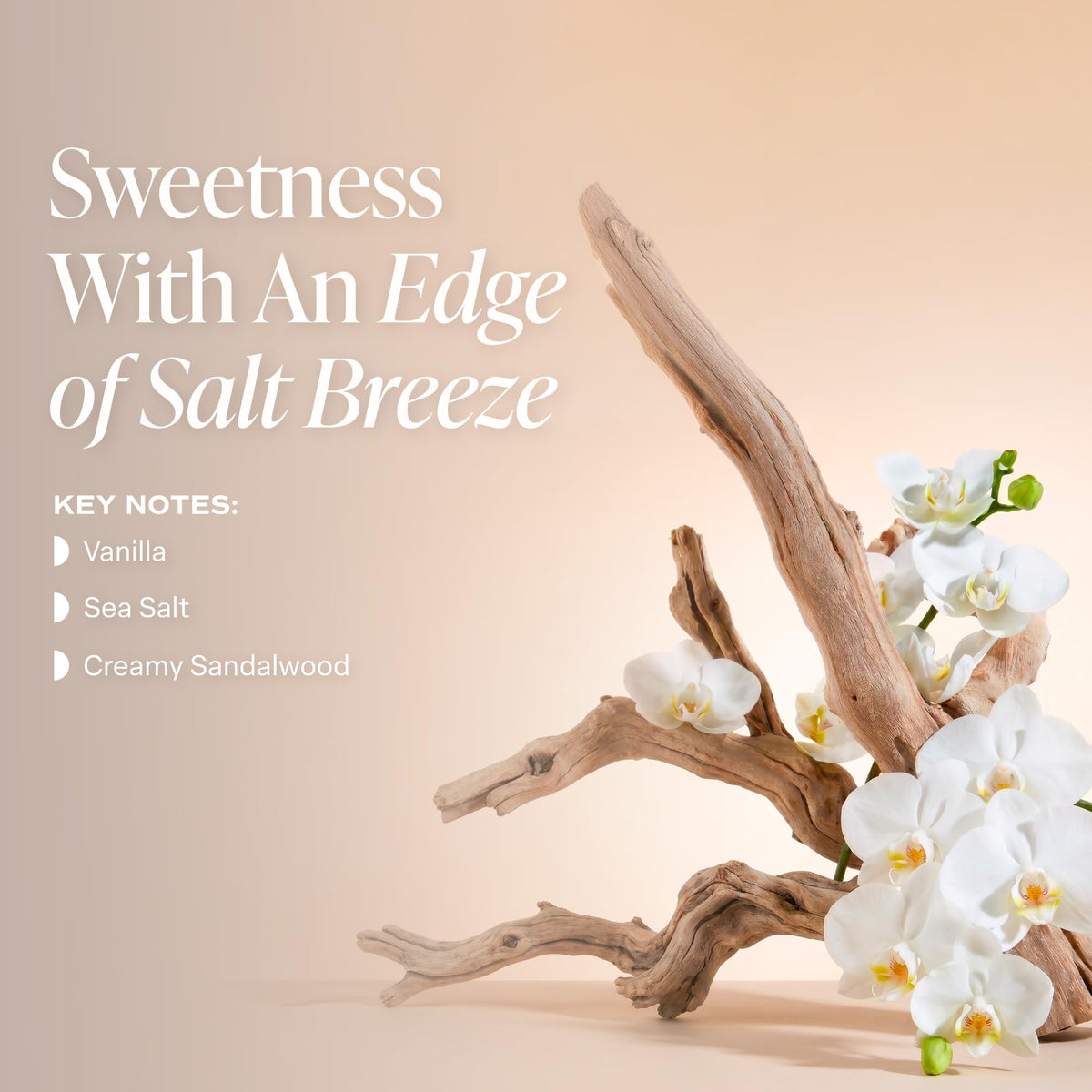 Saltair Serum Deodorant Variety Pack - Saltair Official Imagery - 8