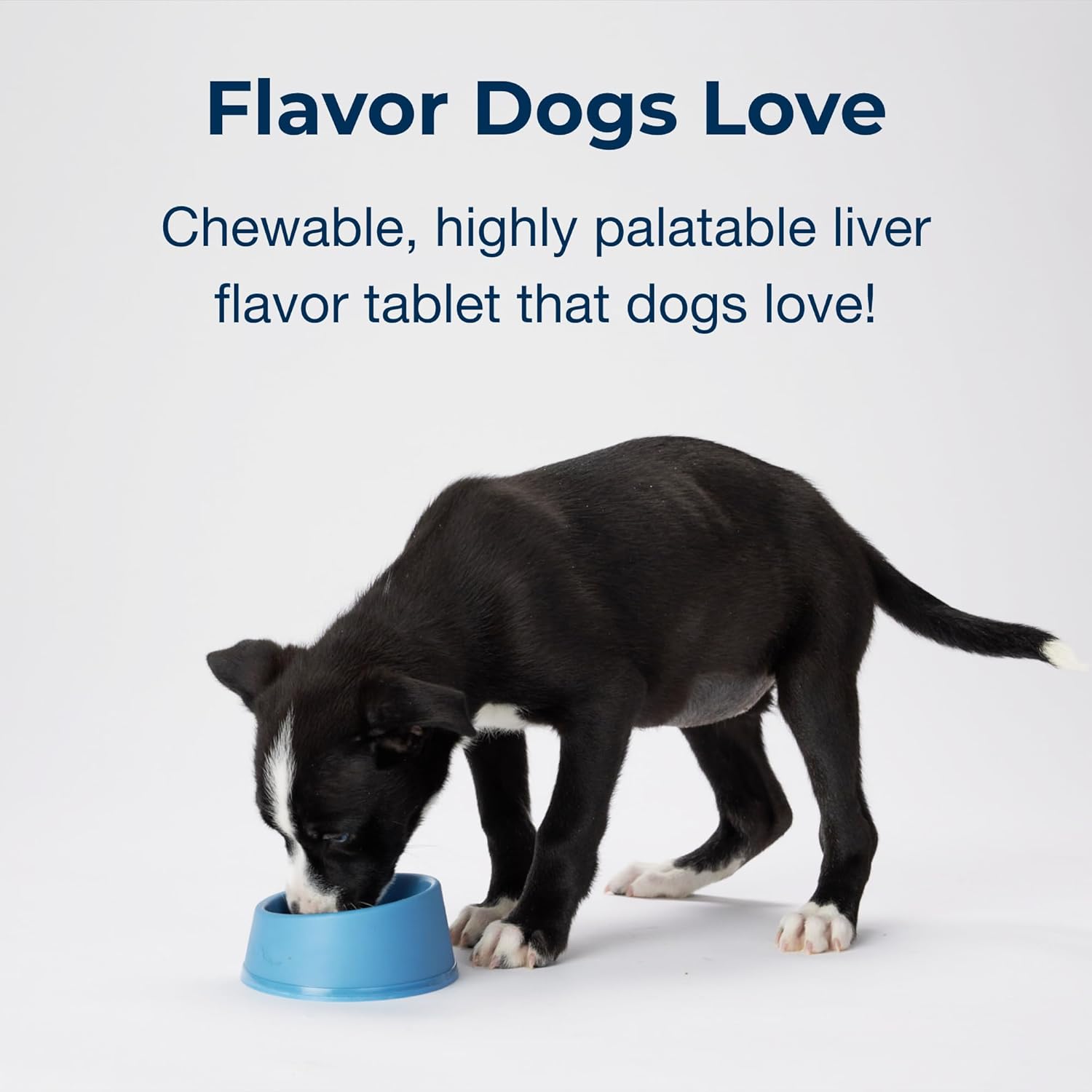 PetAg Sure Grow 100 chewable tablets for puppies, vitamin A & D supplement promoting healthy bone development.