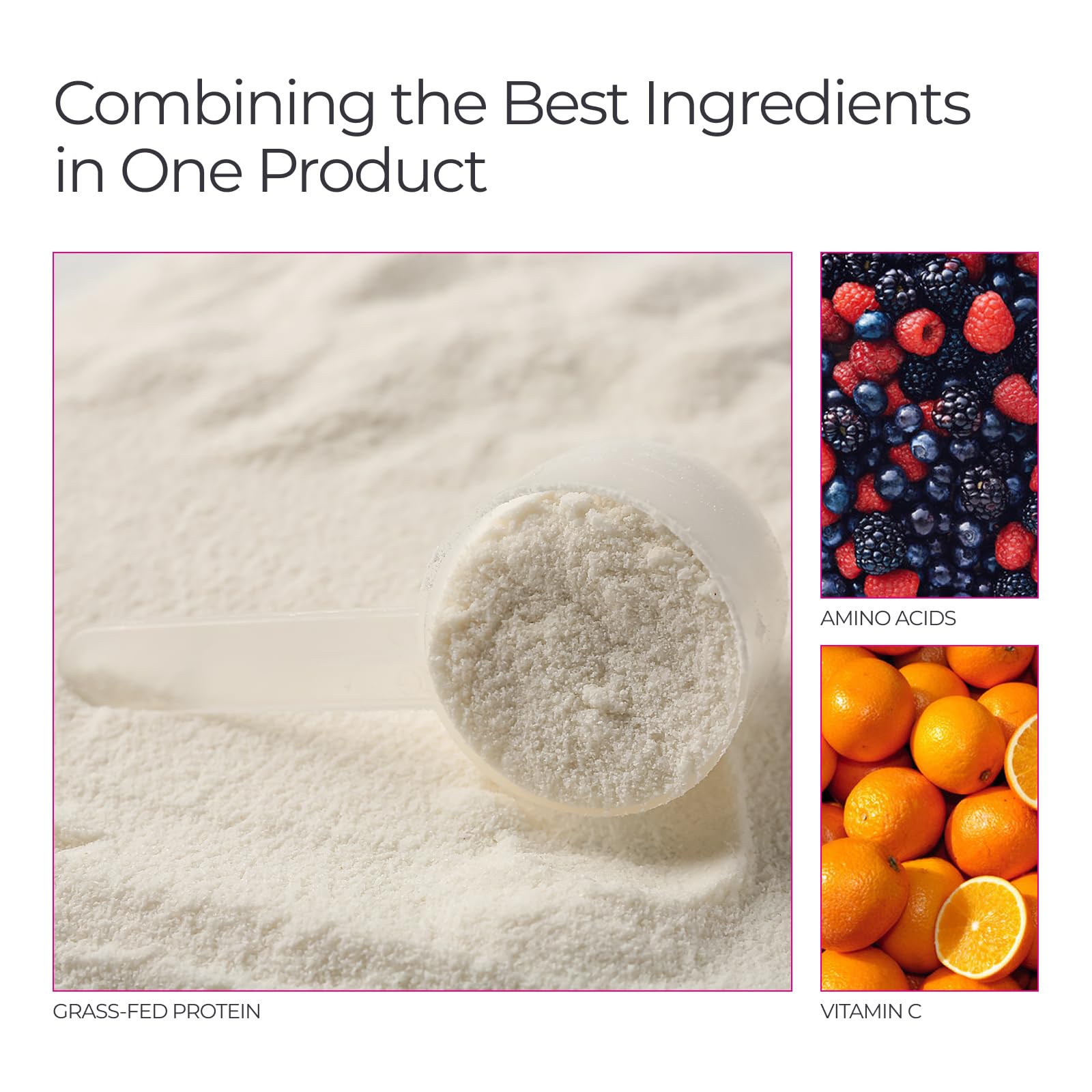 Livingood Daily Vanilla Collagen Peptides Powder Type I III - Livingood Daily Official Imagery - 4