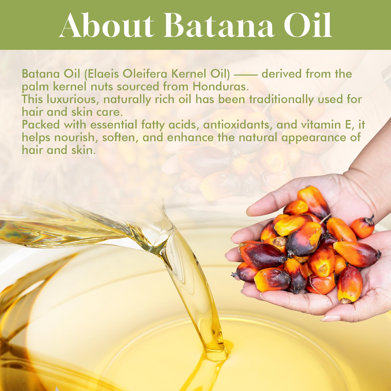 Dolahair Batana Oil for Hair, Scalp & Skin, Natural Elaeis Oleifera Kernel Oil, - Dolahair Official Product View 5