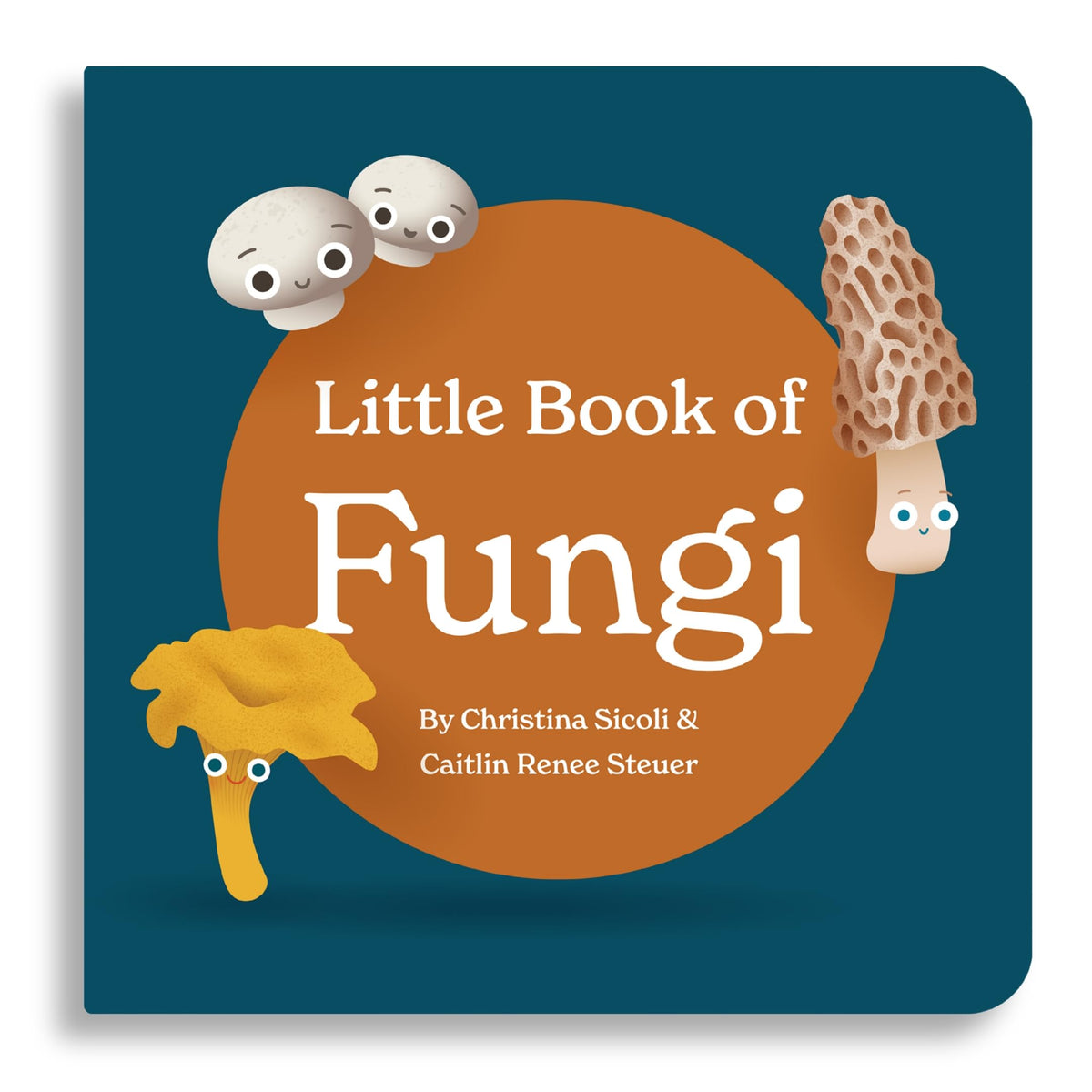 Little Books Tasty Collection A 3 Board Book Box Set for - by               
		   Caitlin Renee Steuer     
       			(Author) 
       	             Format: Board book Official Imagery - 8