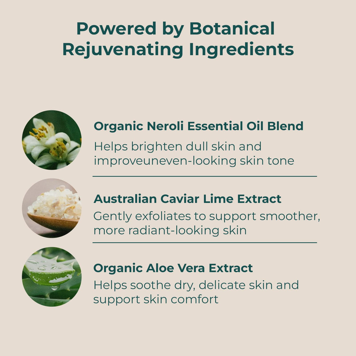 Organic Sheet Mask - INNA ORGANIC Official Imagery - 7