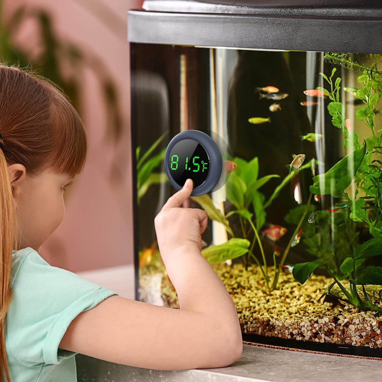 PAIZOO fish tank digital thermometer with LED display showing water temperature of 71°F for accurate aquarium monitoring