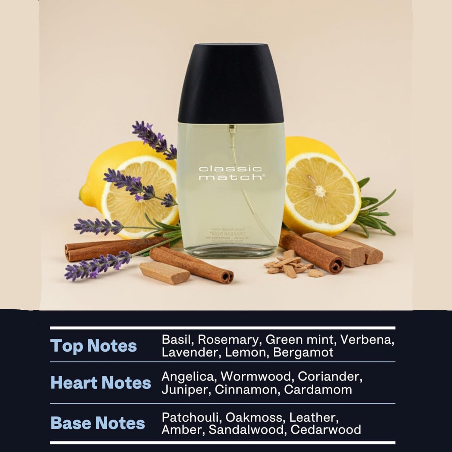 PB ParfumsBelcam CM Noir Eau De Toilette spray for men, featuring a fresh fougere cologne with sleek bottle design.