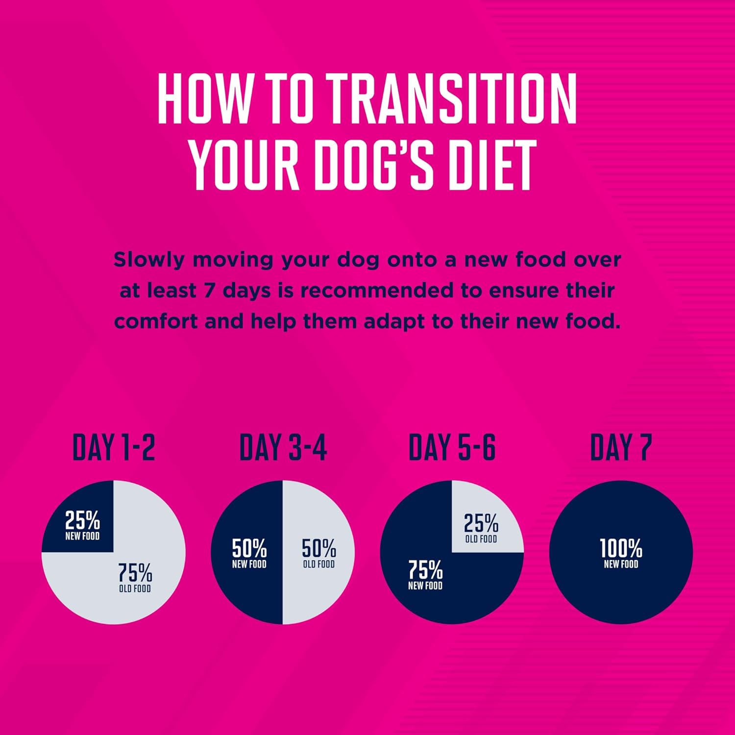 Eukanuba Adult Lamb & Rice canned dog food can, 13.2 oz, set of 12, featuring nutritious wet dog food with lamb and rice flavor.