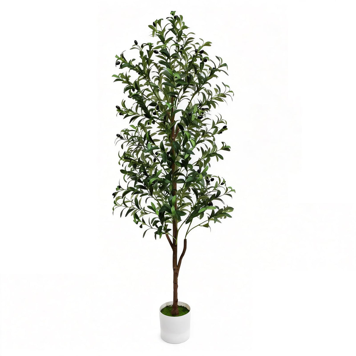 Olive Tree Olive Trees Artificial Indoor 6FT Faux Olive Tree - ENLETRAN Official Imagery - 1