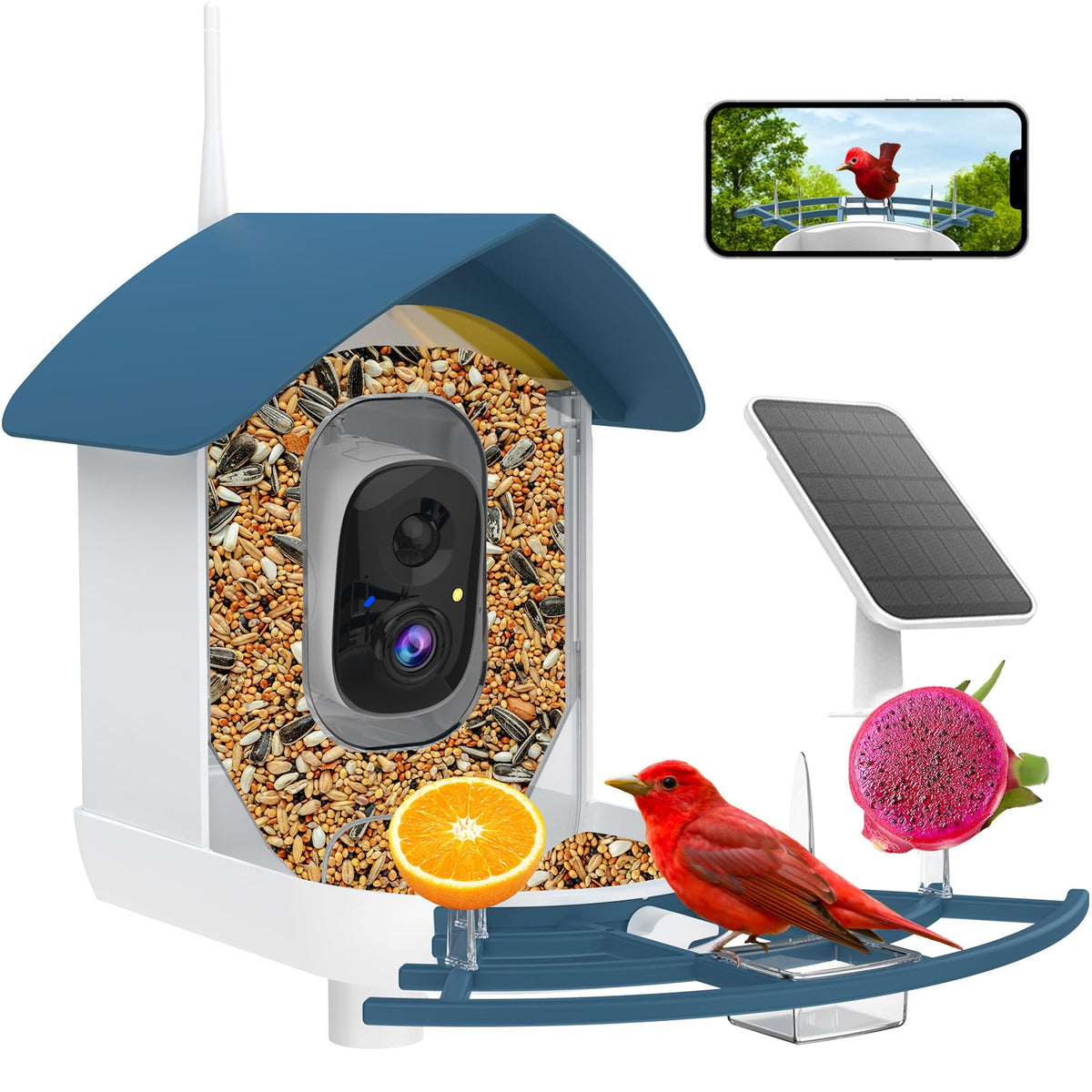 Bird Feeder with Camera Birds House Camera Solar Powered AI - Fazoxo Official Imagery - 1