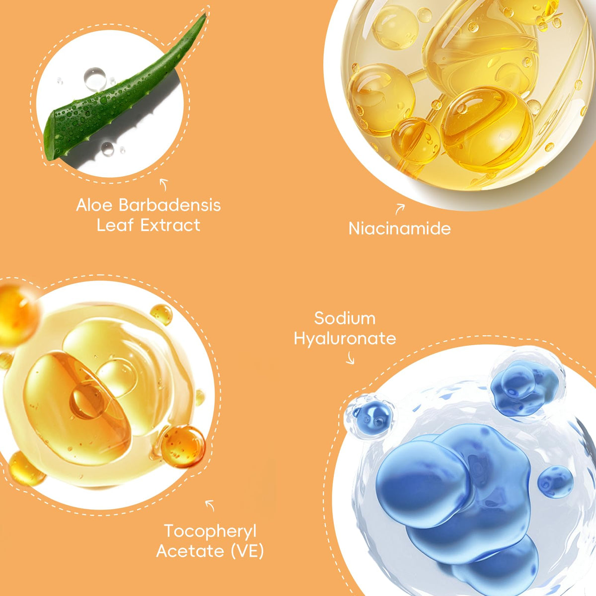 Turmeric Vit C Skin Care Set 7PCS Facial Skincare Routine - QUIYUM Official Imagery - 7