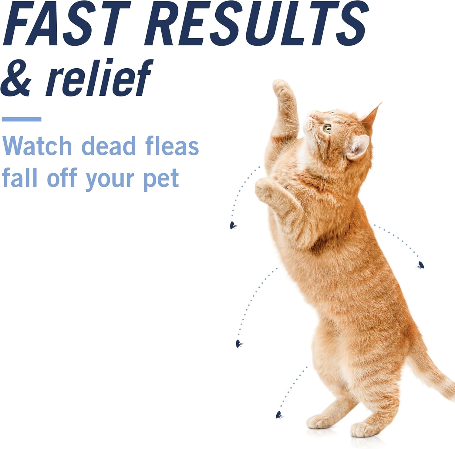 PetArmor CAPACTION oral flea treatment for cats, showing the medication package with capsules in a blister pack.