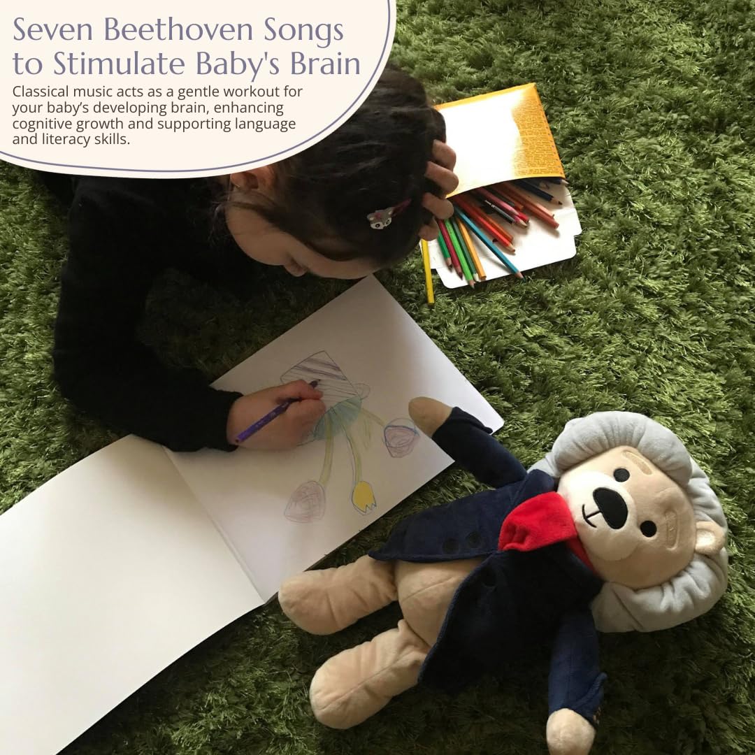 Ludwig Van Beethoven Virtuoso Bear Plays 40 Mins of - Vosego Official Imagery - 8