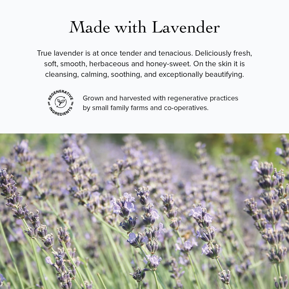 evanhealy Rosehip Calming Serum - Blue Skin Care Line with Organic Whole - evanhealy Official Product View 8