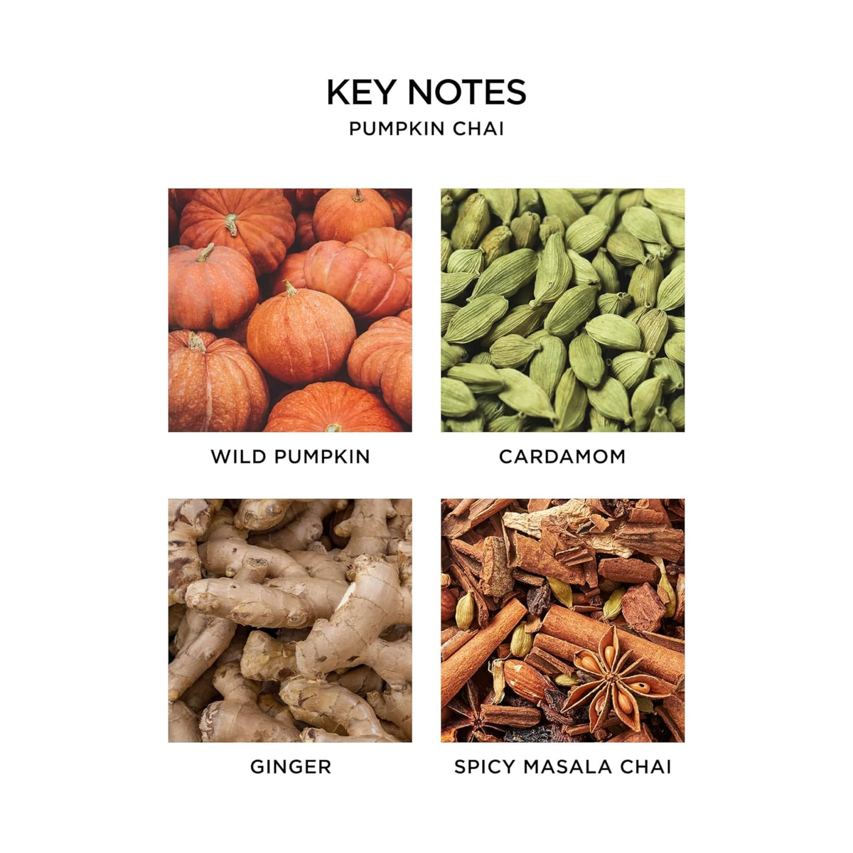 NEST New York Scented Classic Candle Pumpkin Chai - Premium Selection Official Imagery - 5