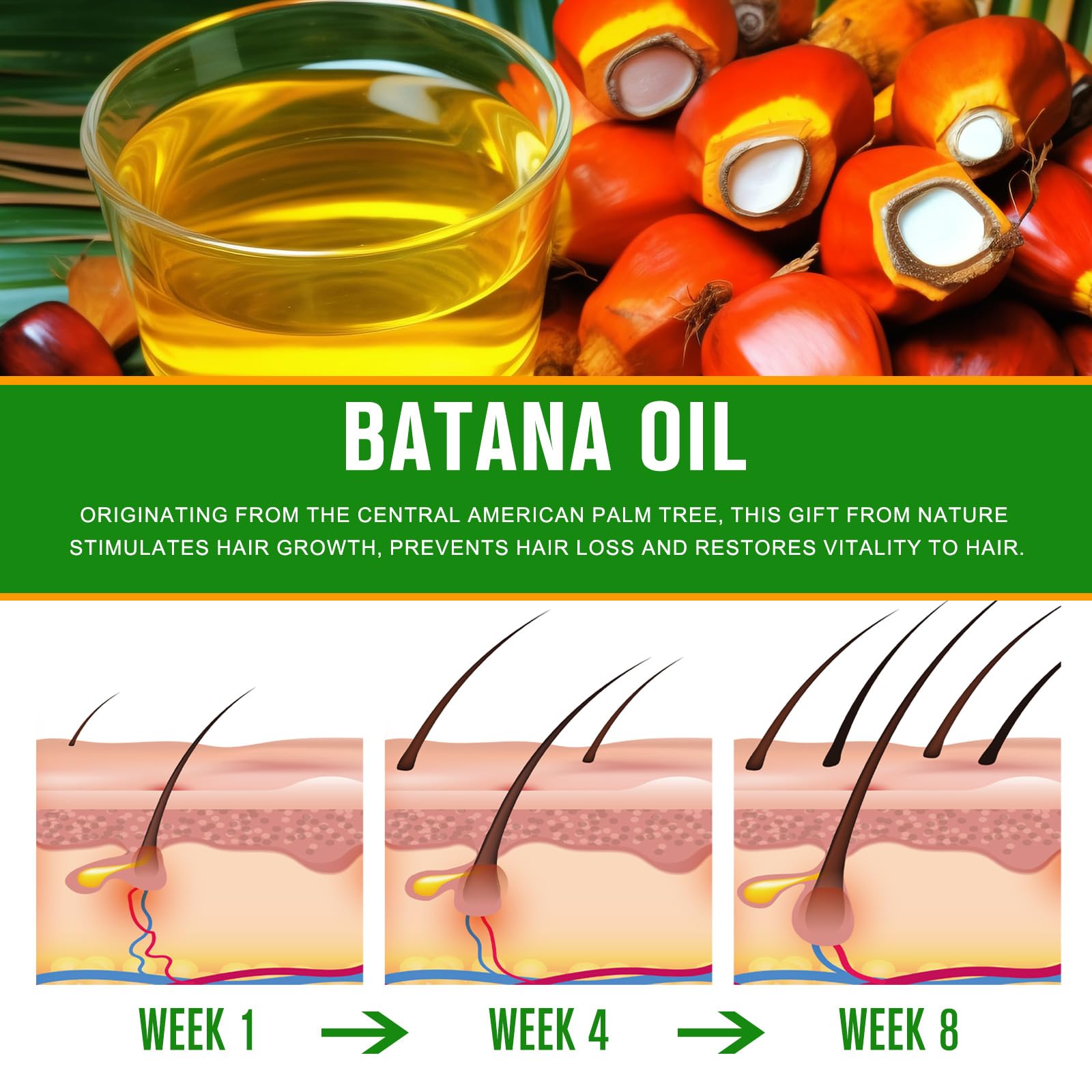 VXHDAG Batana Oil - 100% Pure & Natural from Honduras for - VXHDAG Official Product View 7