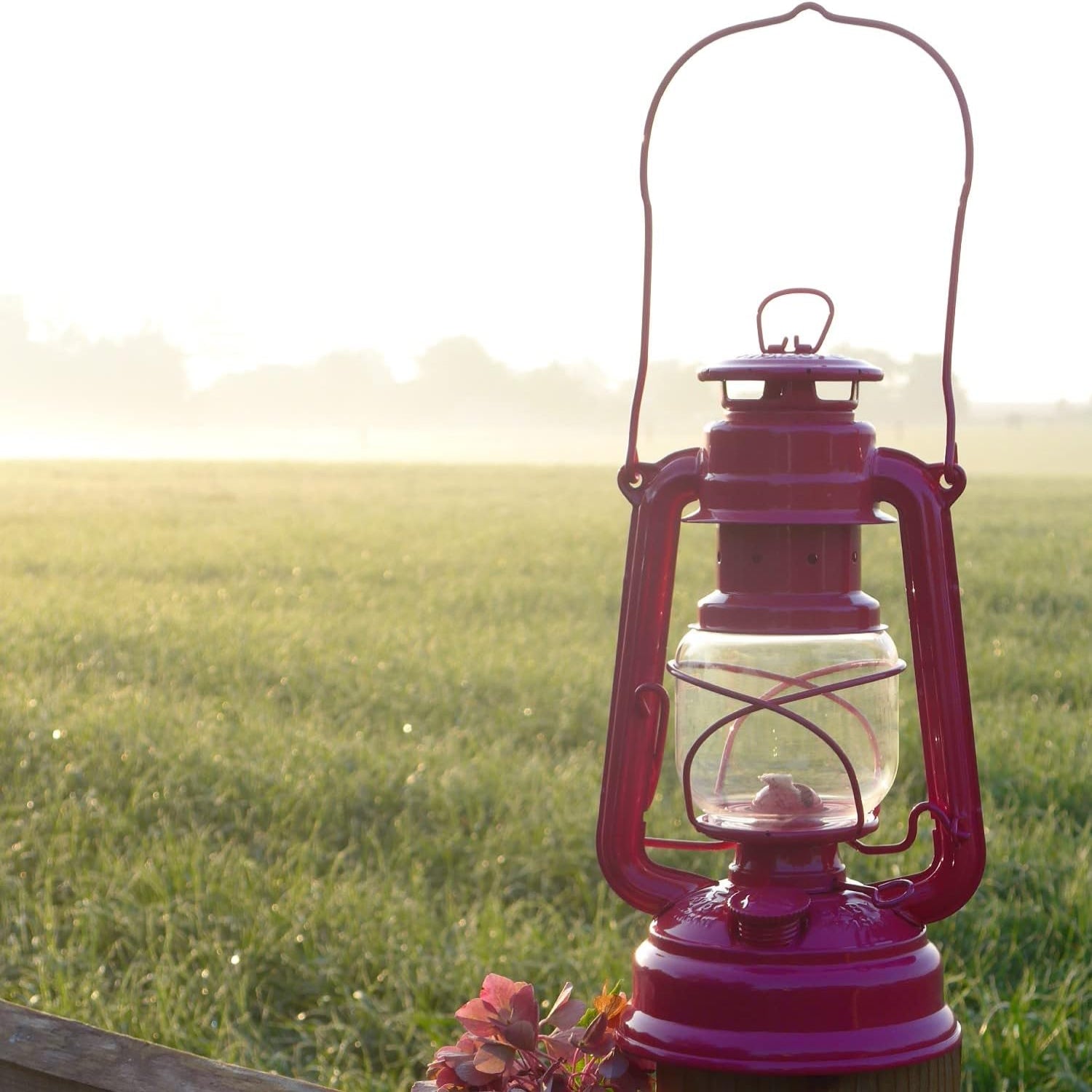 Feuerhand Outdoor Kerosene Fuel Lantern, German Made Weather