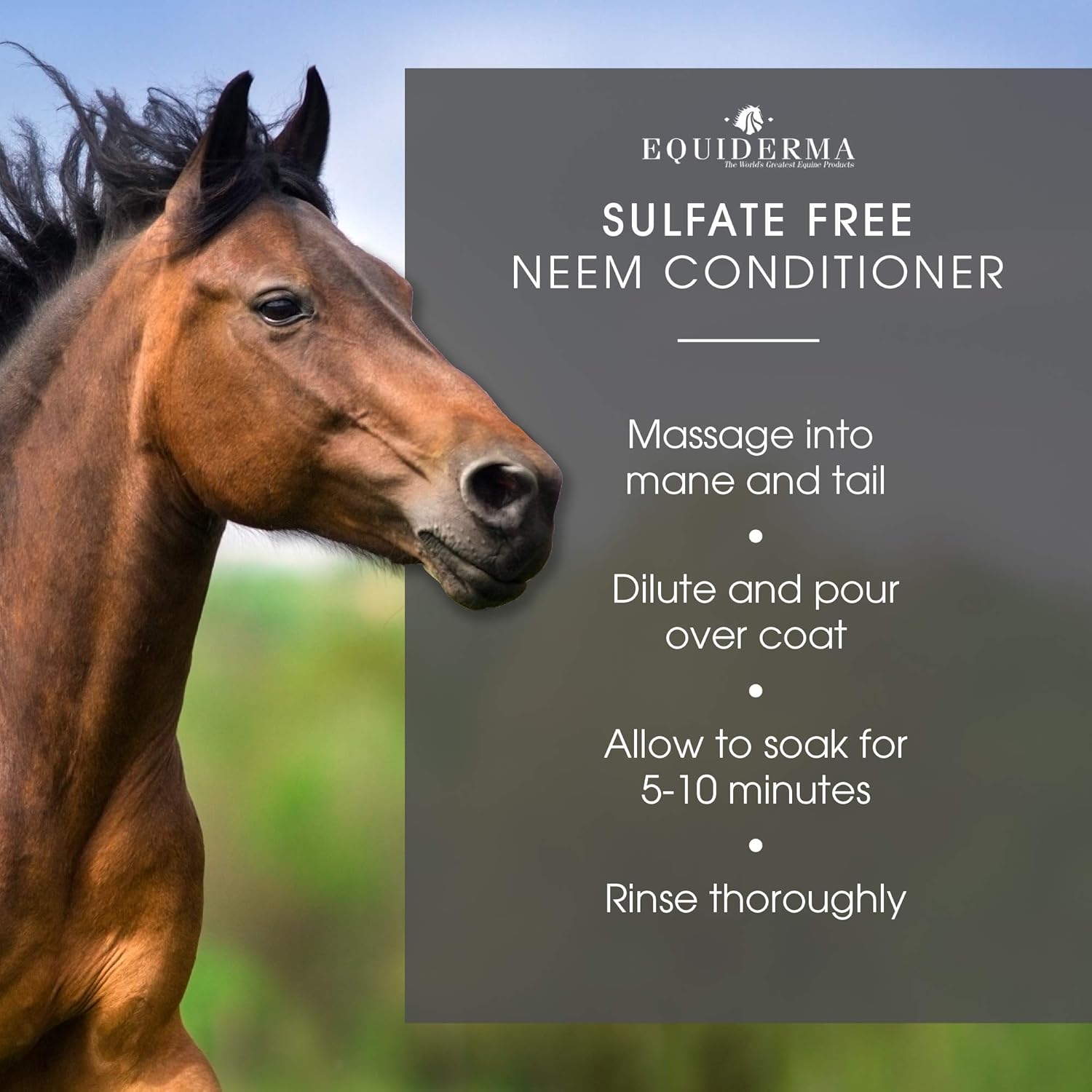 Equiderma Neem Coat Conditioner for horses in 32 oz bottle, featuring neem and castor oil for soft, healthy horse coats.