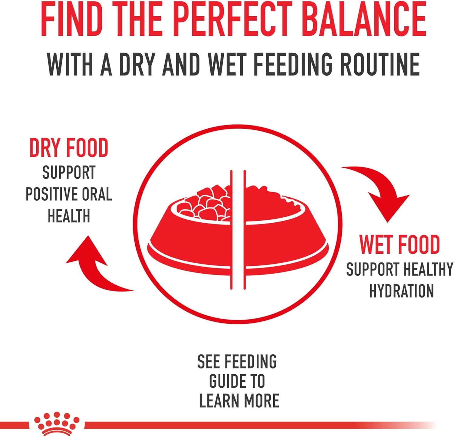 Elefair Royal Canin X-Small Senior Dry Dog Food bag for small dogs 8+, 2.5 lb size, with detailed packaging image