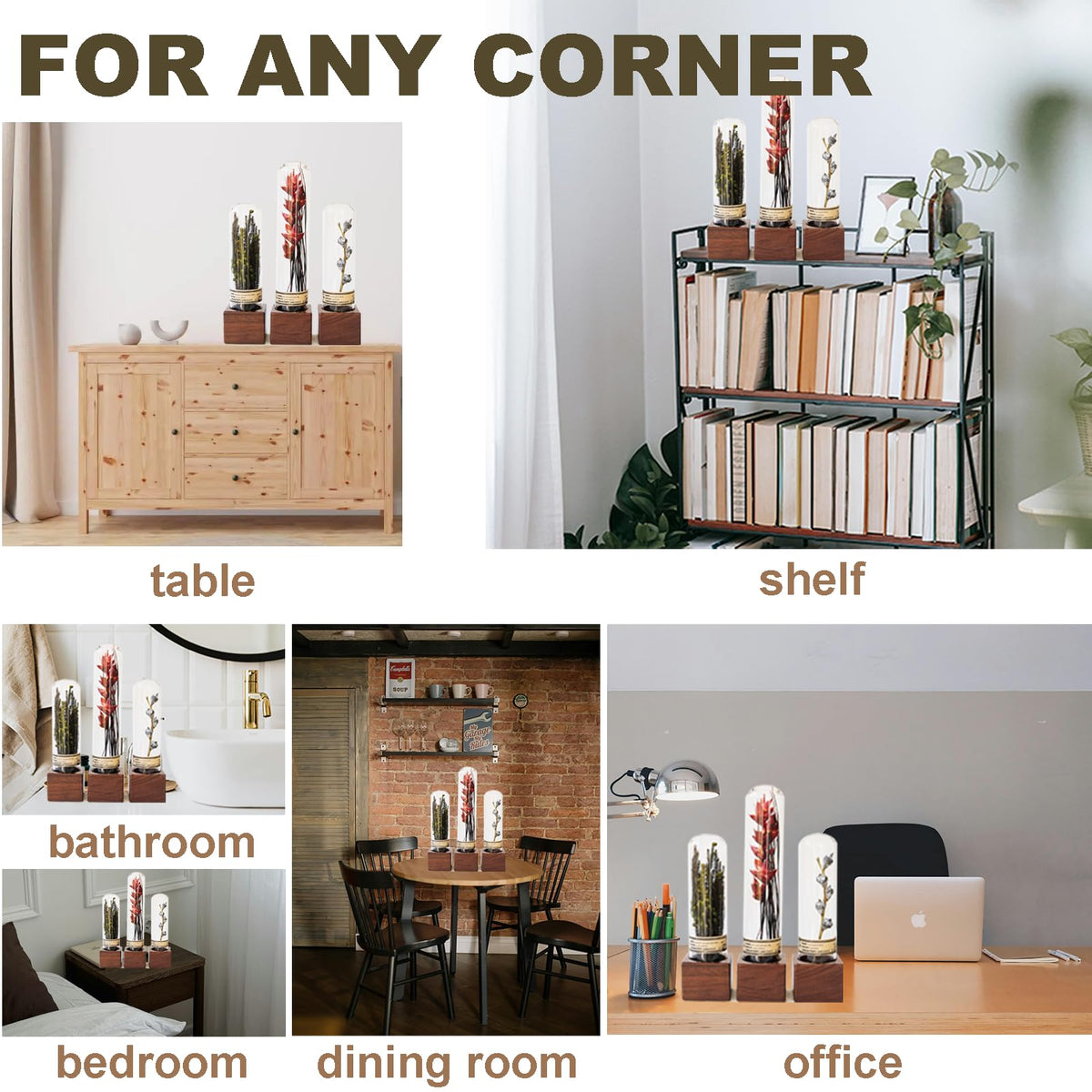 3Pcs Dried Flower Decor Knick Knacks for Shelves Cool Stuff - SKOGSKUNST Official Imagery - 8