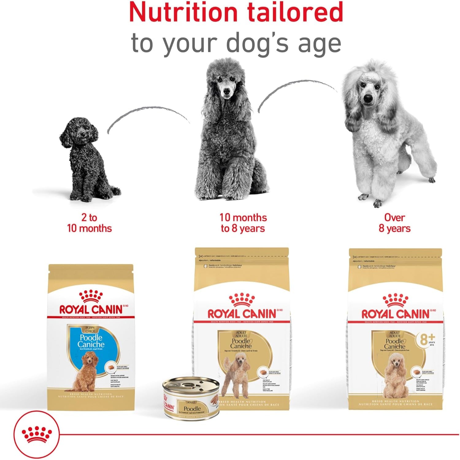 Elefair Royal Canin Poodle Puppy Dry Dog Food in 2.5 lb bag, showing the packaging with images of a Poodle puppy.