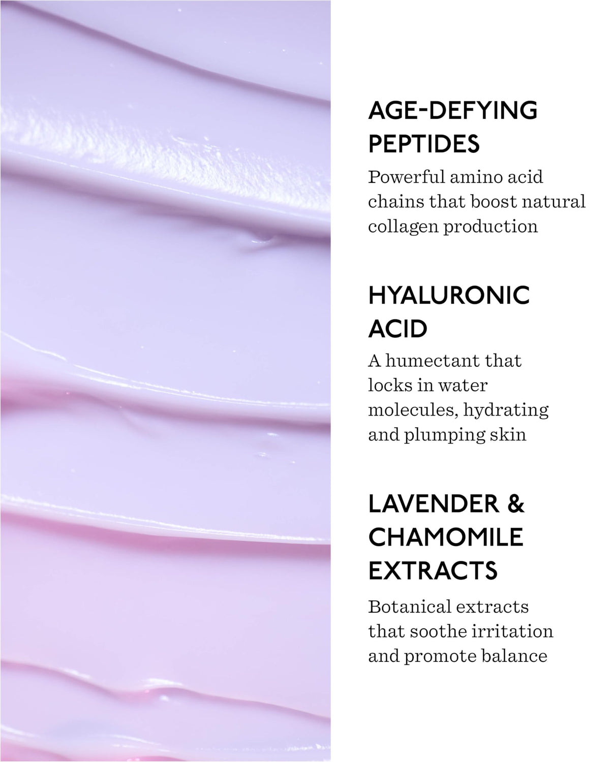 Fount Society Overnight Face Cream with Peptides and - Fount Society Official Imagery - 4