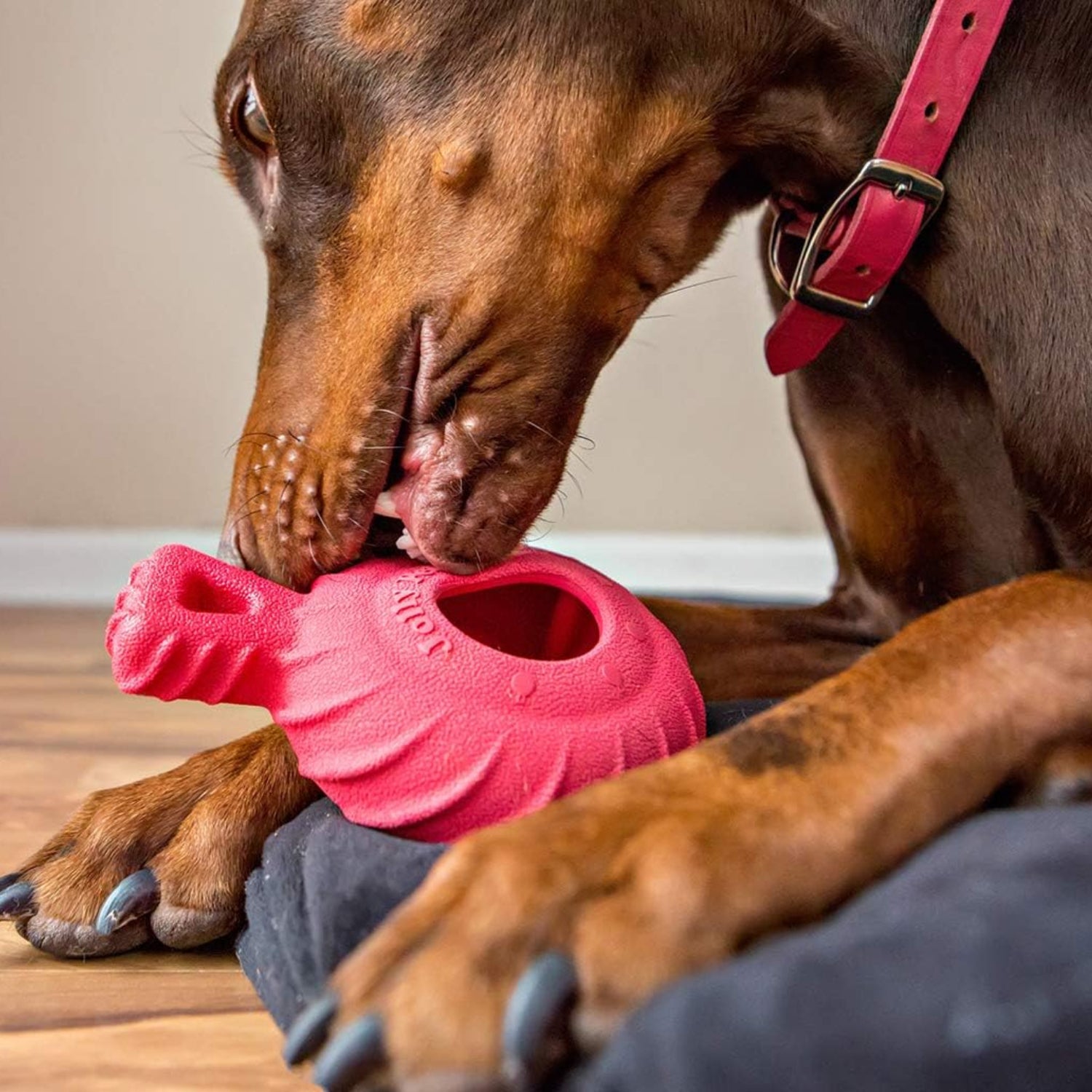 Red Jolly Pets Tuff Treader dog toy with handle, 6-inch size, durable for all breed sizes