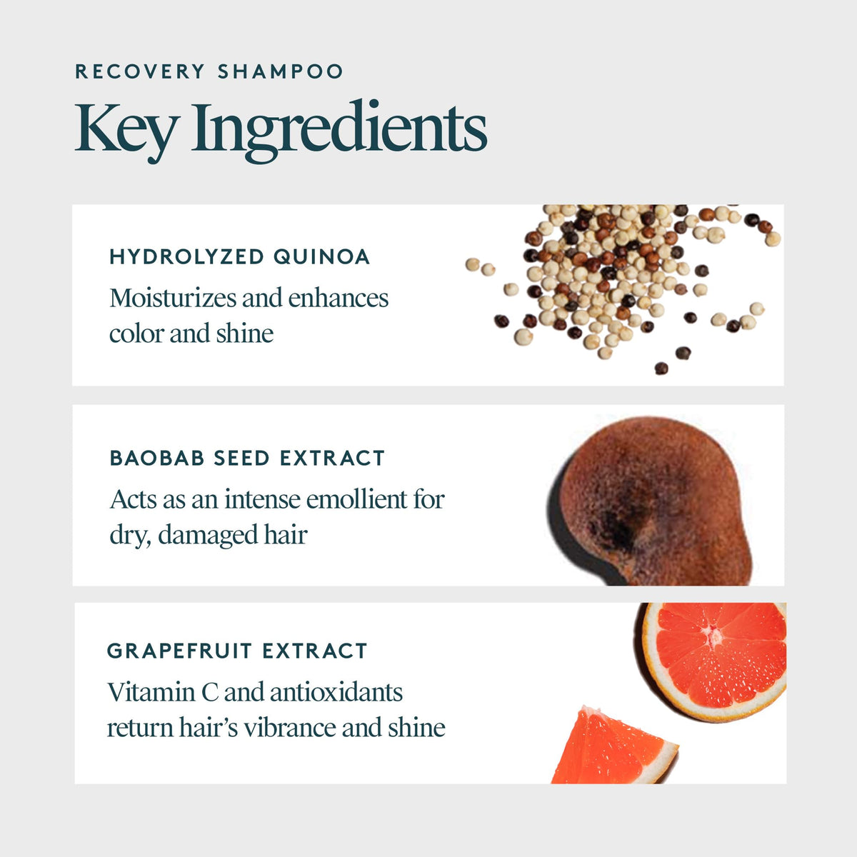 VIRTUE Recovery Sulfate Free Shampoo with Keratin and Baobab - Premium Selection Official Imagery - 7