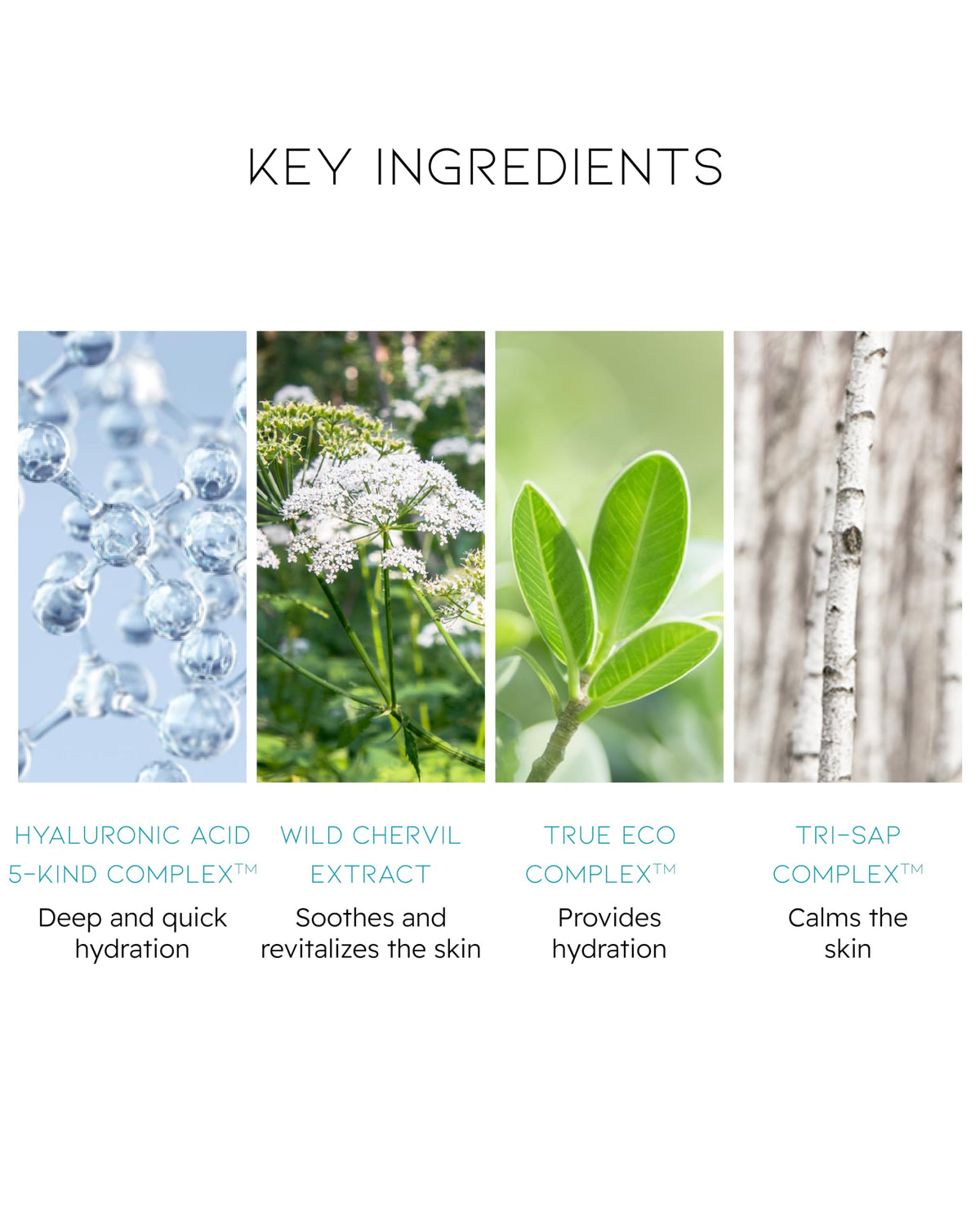 BEYOND Angel Aqua Moisture Lotion - ECO BEYOND Official Imagery - 5