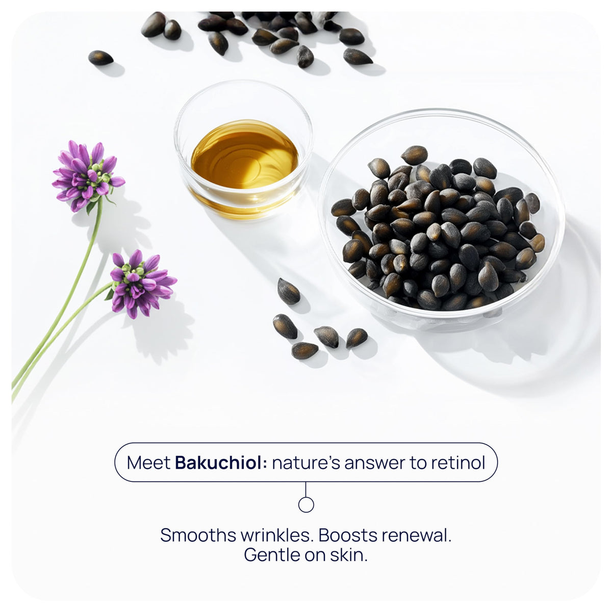 PUREANCE Cellular Restore Serum - PUREANCE Official Imagery - 4