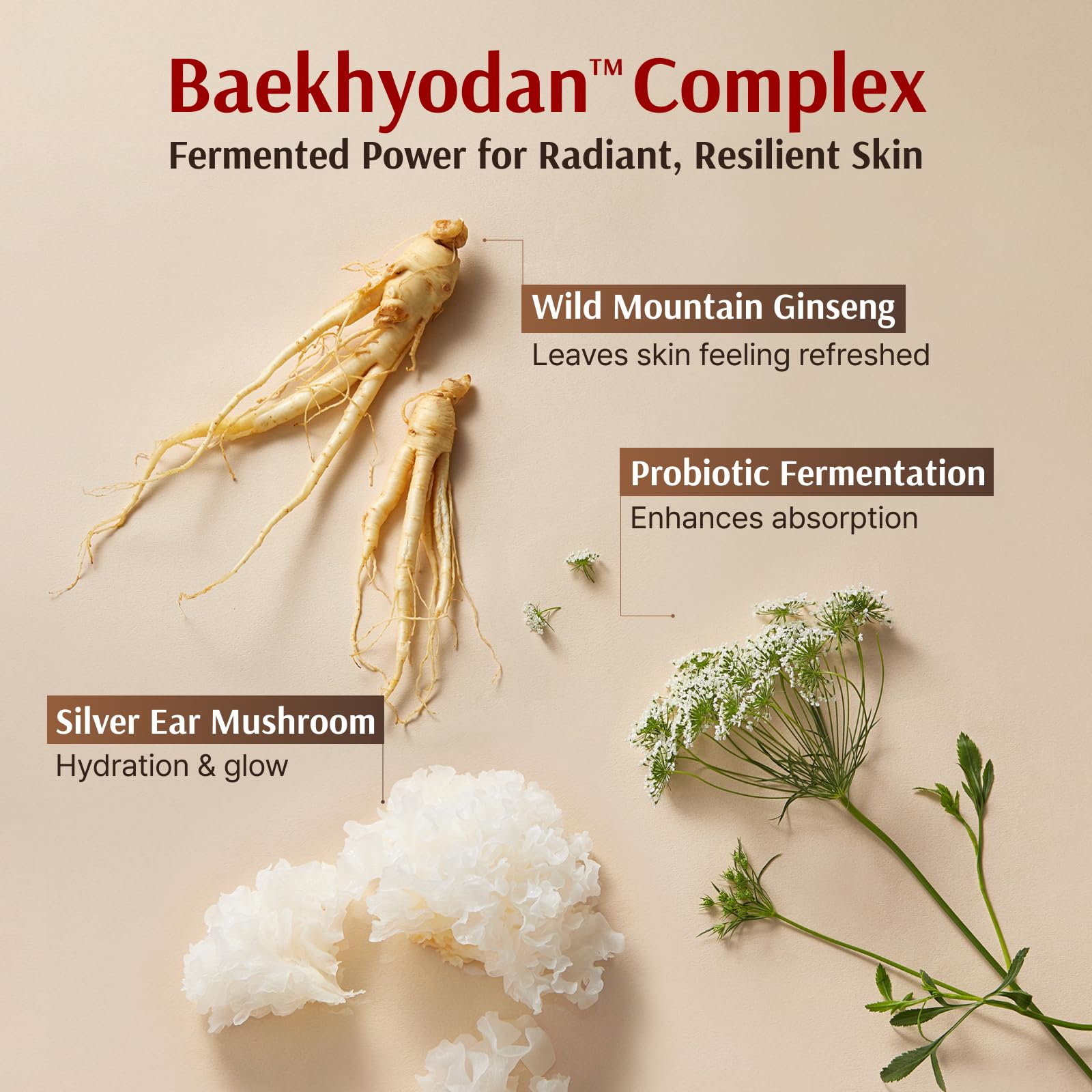 Sooryehan Hyobidam Fermented Skincare Gift Set with Wild Ginseng - Sooryehan