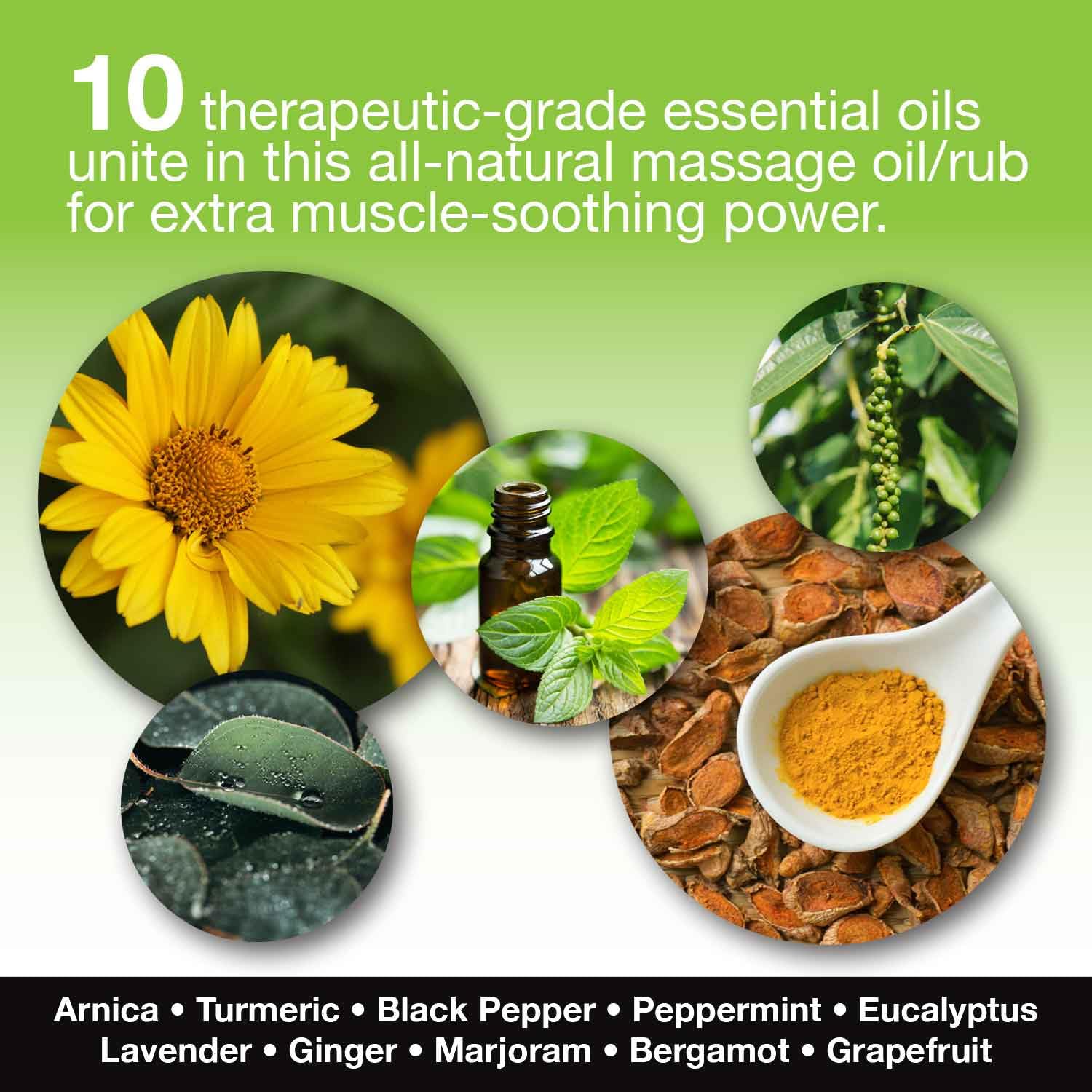 Hemp Massage Oil Sore Muscle Rub 100 Organic Relief with - Skinsations Official Imagery - 4