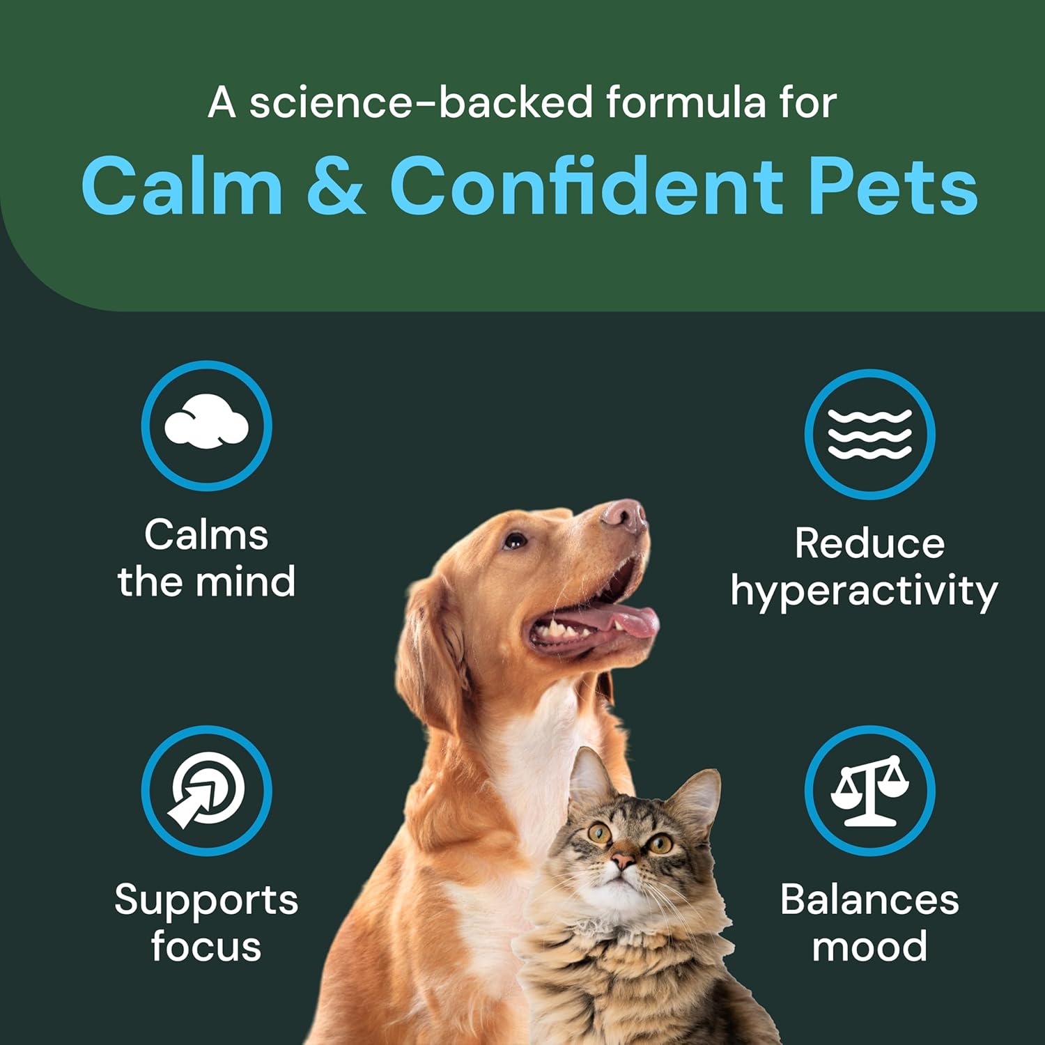 VETRISCIENCE Calm & Confident Chews for pets, veterinary strength stress relief chews on a white background.