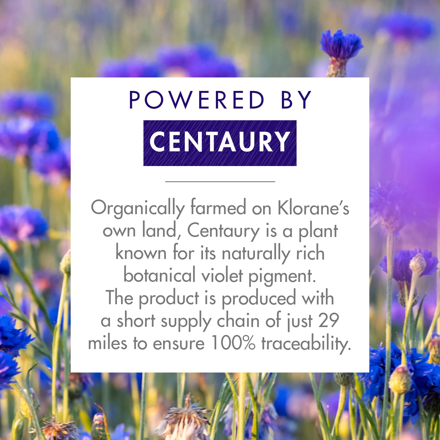 Klorane Purple Anti-Yellowing Conditioner with Centaury
