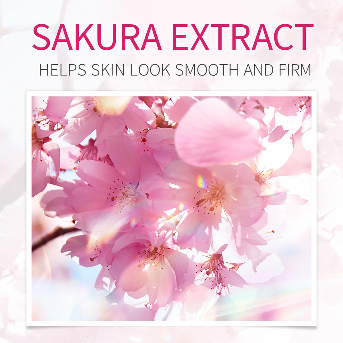 Sakura Face Care Set for Women 17Pcs Moisturizing Skin Care - LAIKME Official Imagery - 4