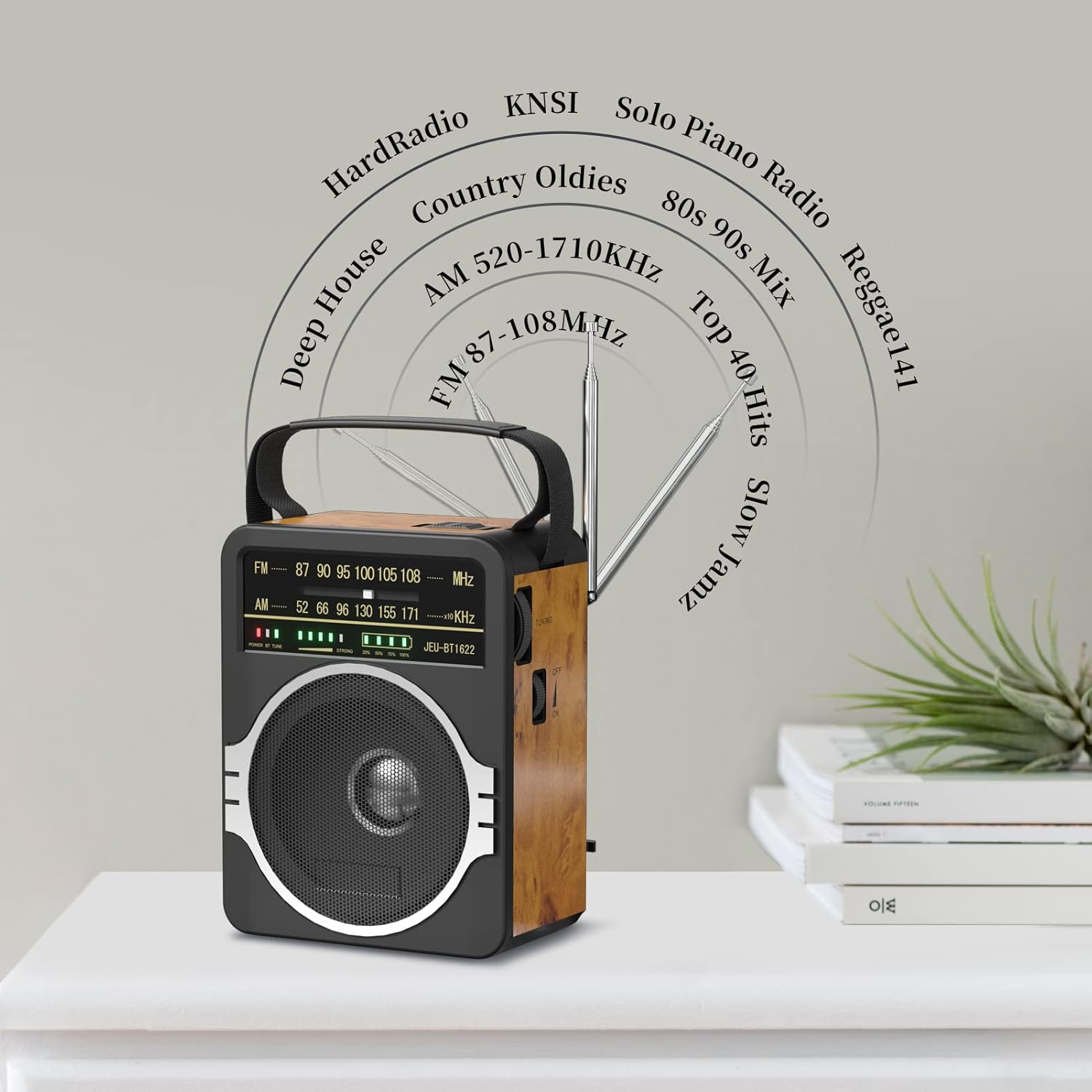 Portable JEUJUG AM FM Bluetooth radio with 5W speaker and rechargeable battery, featuring built-in FM tuner and modern design.